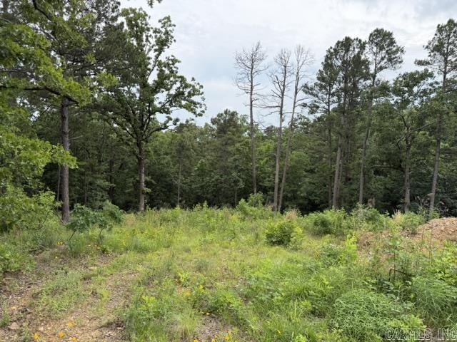 Panther Mountain Estates - Land