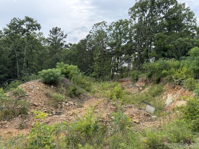 Panther Mountain Estates - Land