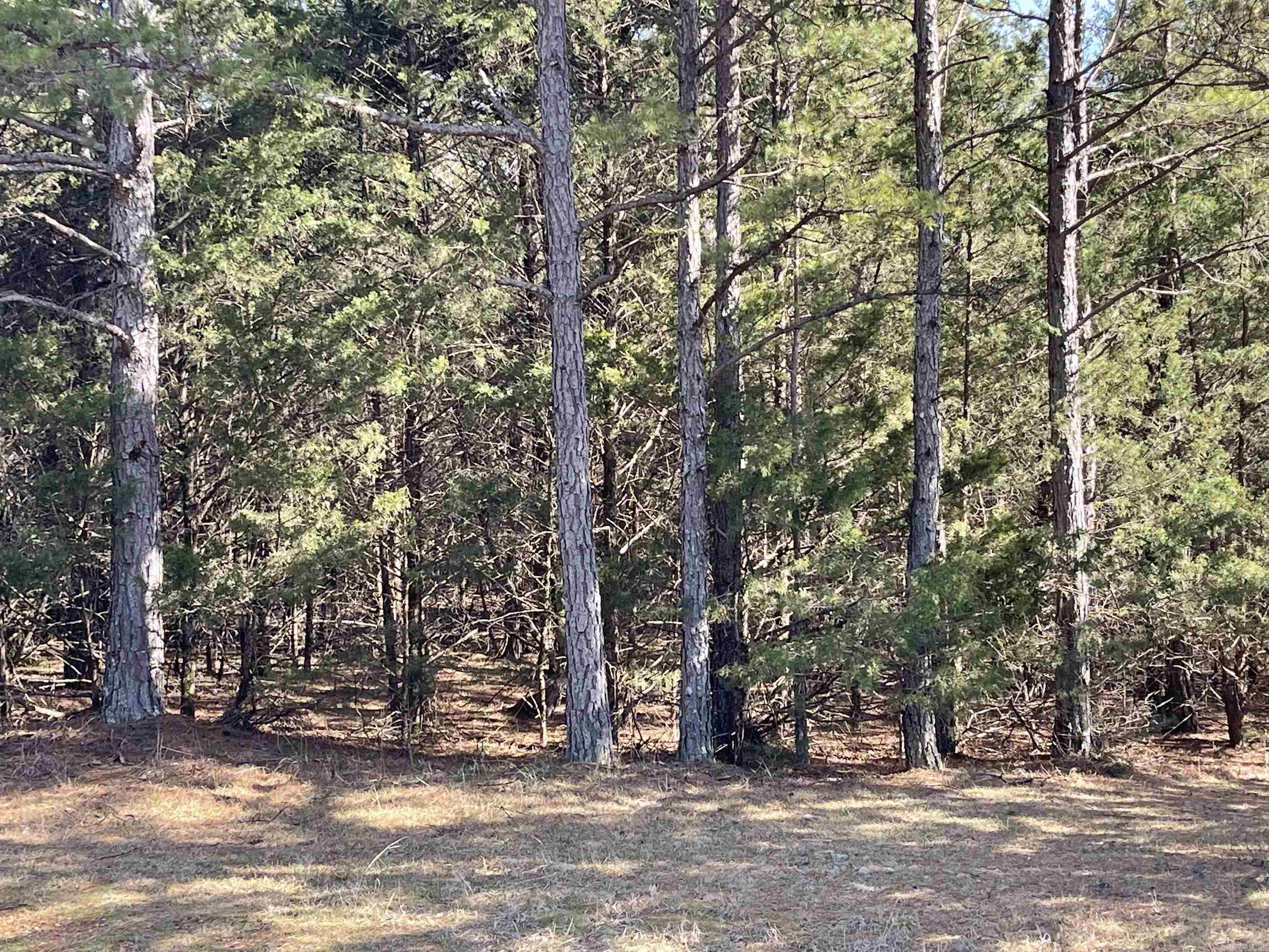 Mountain Ranch - Land