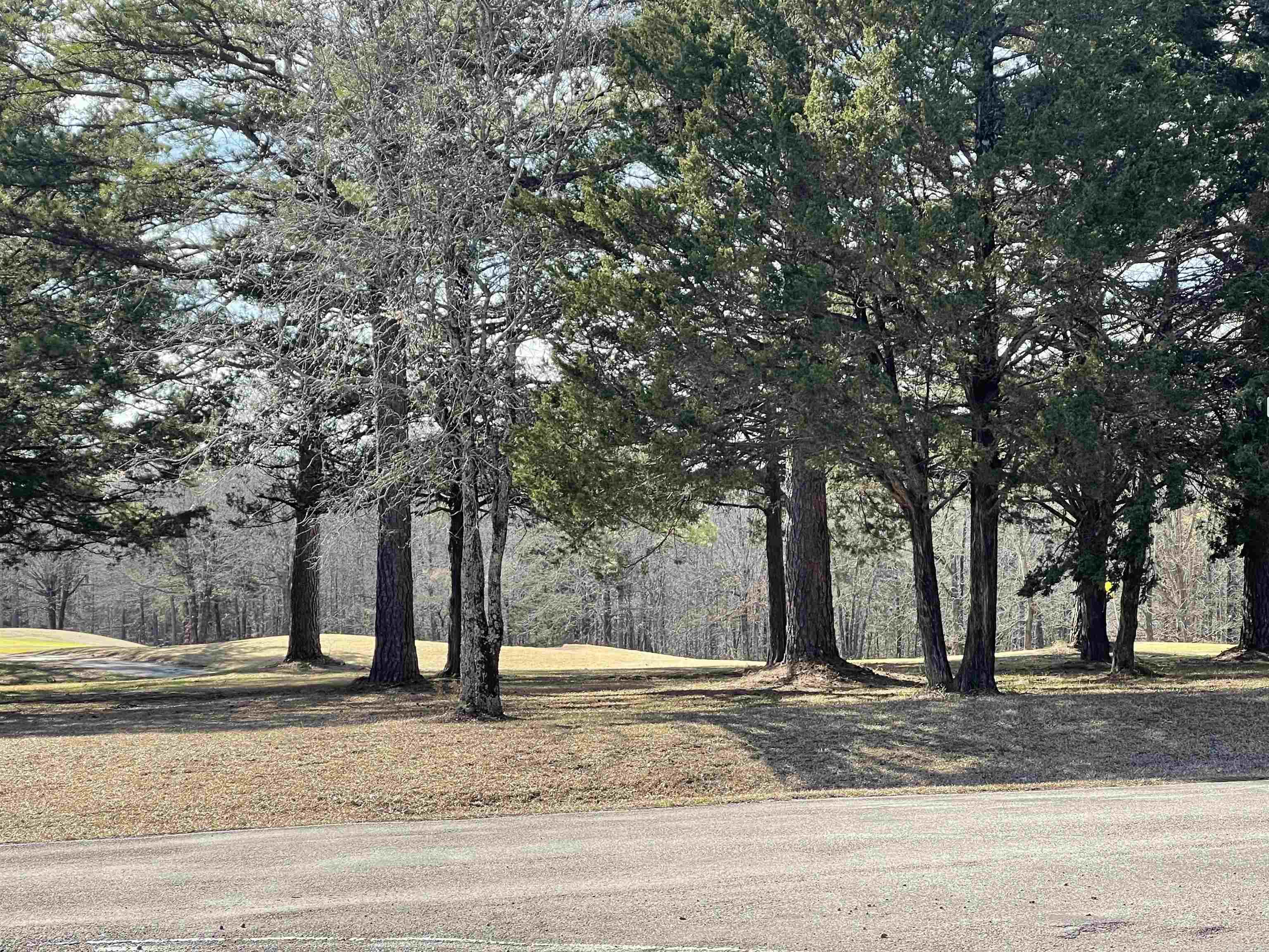 Mountain Ranch - Land