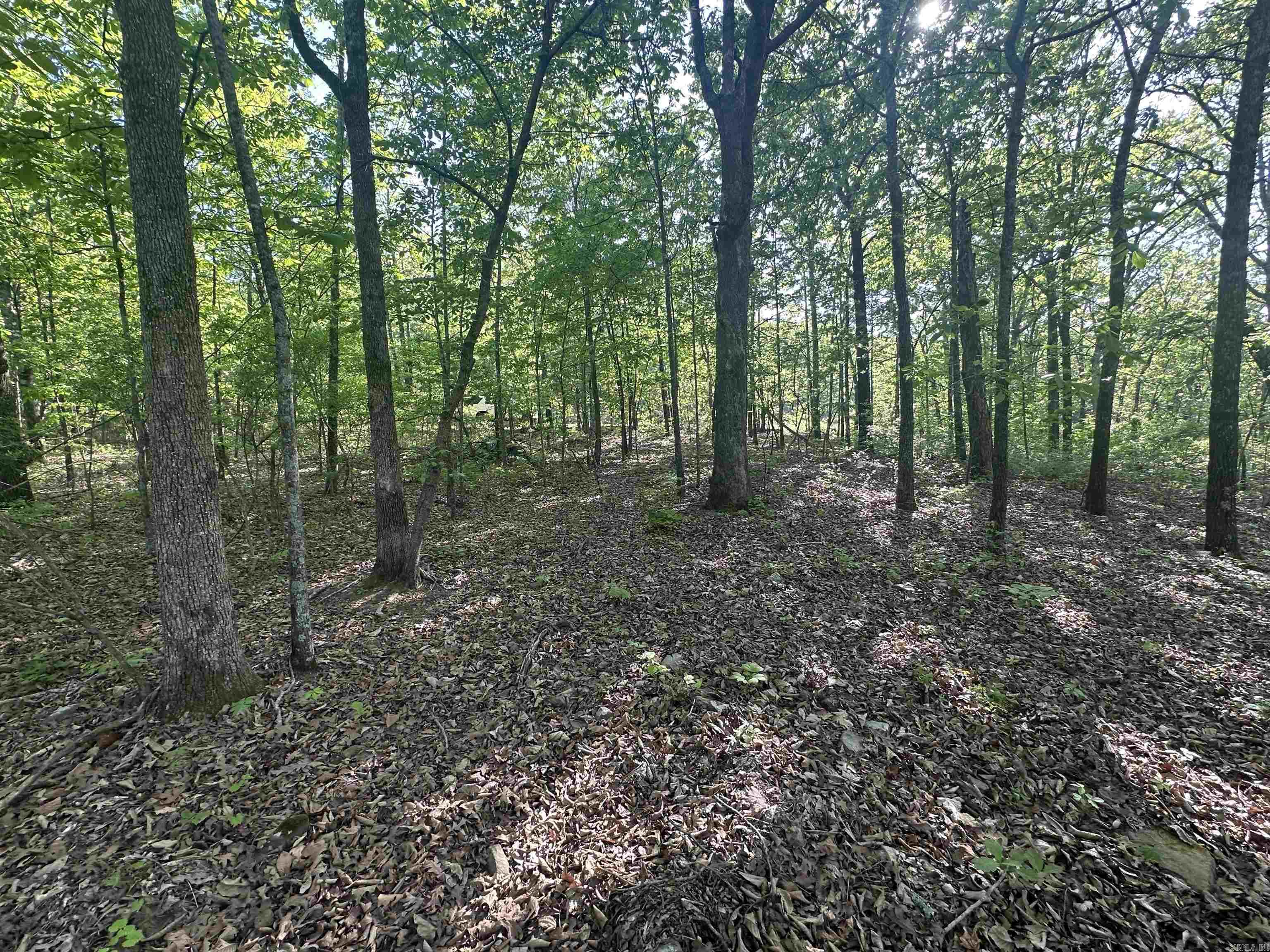 WOODED LOT WITH ROOM TO ROAM This beautiful tree-covered lot is ready for your new home and hunt out your back door. A great building spot located by the road is mostly level with utilities at the road and the property has a gentle slope to the rear with a valley separating your building location with the neighbor on the east side for privacy. Survey Attached 4.92 acres.