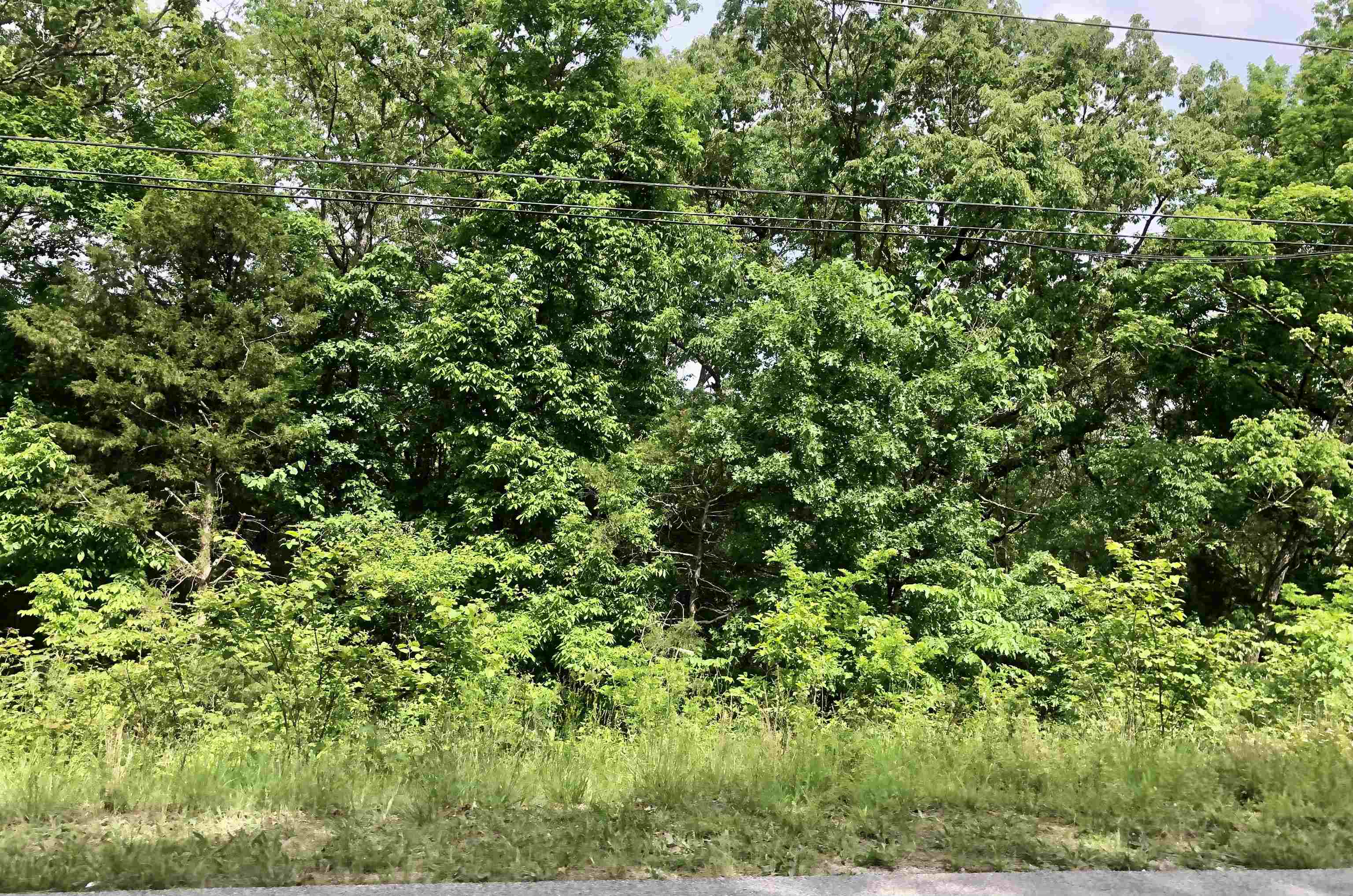 Unimproved residential lot.