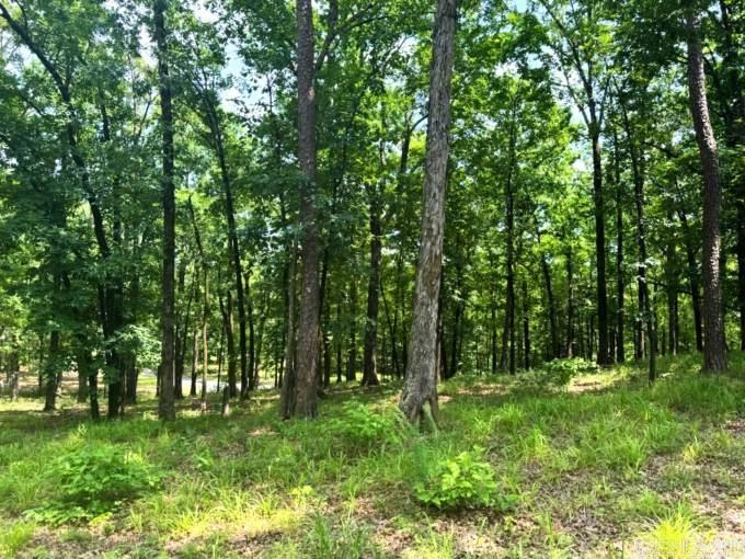 Bethesda Area - Land
