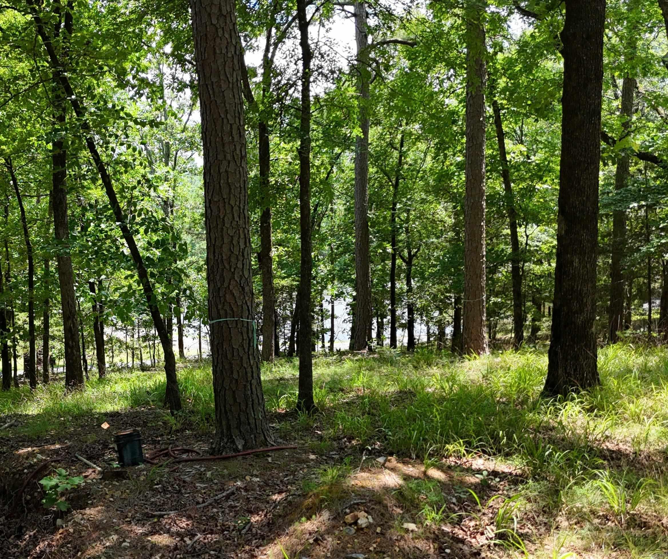 Bethesda Area - Land