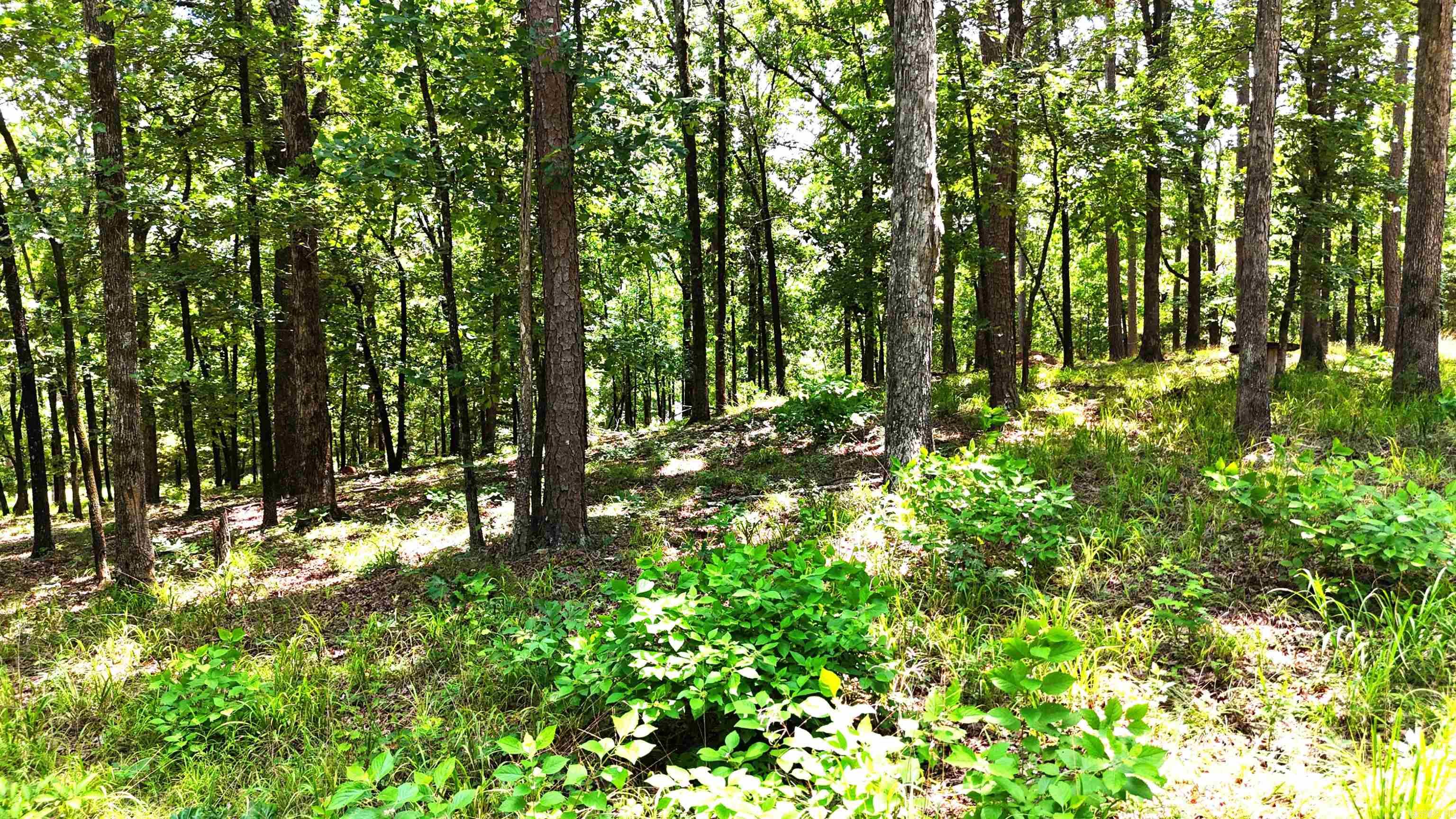 Bethesda Area - Land