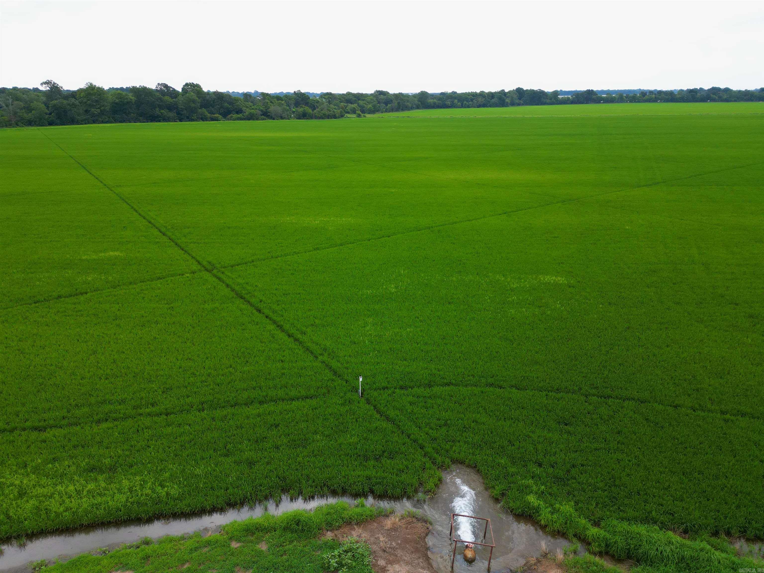 Metes & Bounds - Farm