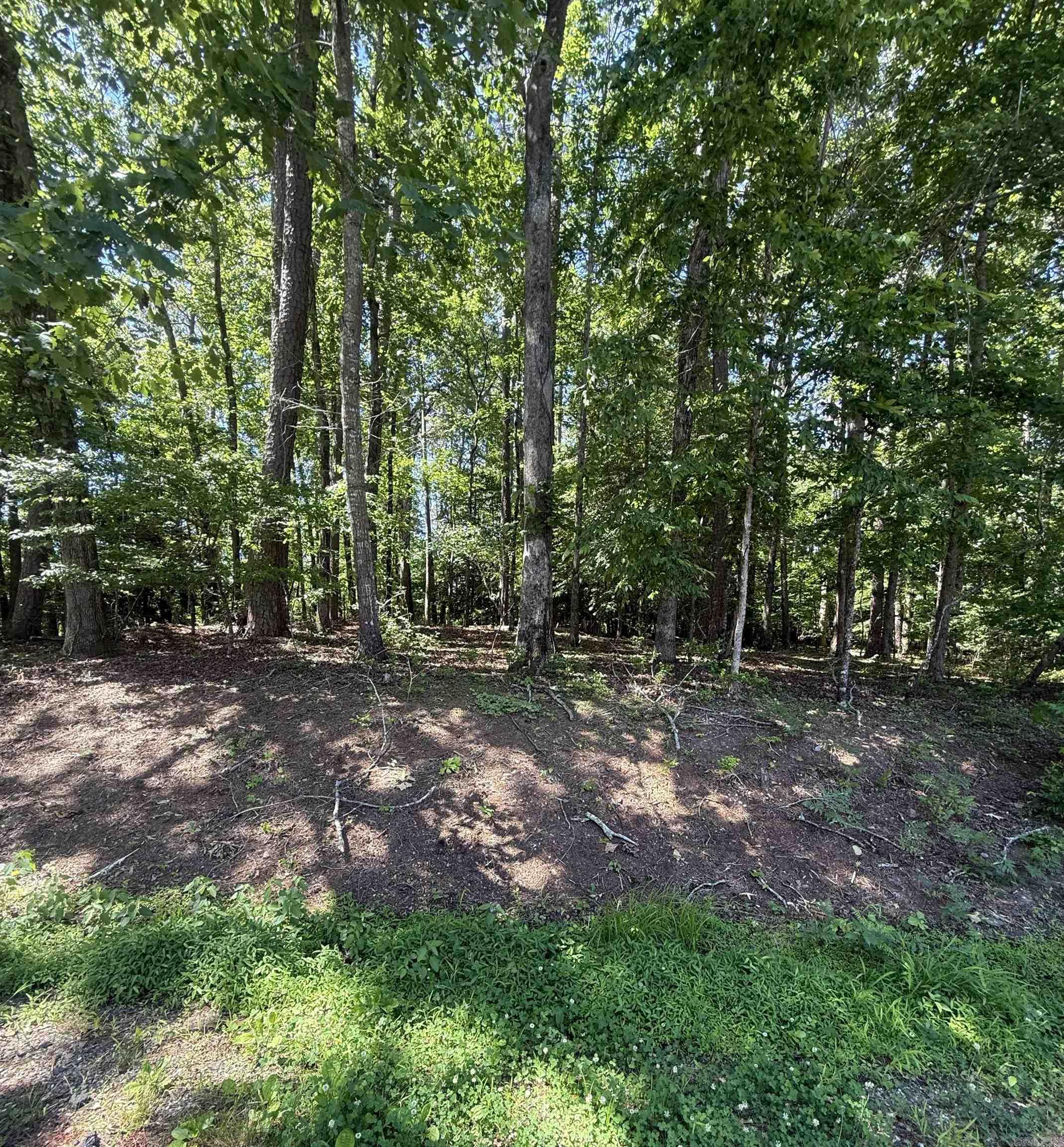 Discover the perfect canvas for your dream home with this exceptional building lot overlooking the serene beauty of Lake Cortez. Located in the picturesque setting of Hot Springs Village, this property offers a unique opportunity to create a lifetime of cherished memories. Envision waking up each morning to breathtaking views where the tranquil waters meet lush, rolling landscapes. Whether you're an outdoor enthusiast eager to explore nearby hiking trails and golf courses or someone seeking quiet solitude by the lake, Hot Springs Village offers something for everyone! The nation's largest gated community offers 9 beautiful golf courses, 11 recreational lakes with over 30 miles of trails for walking and hiking! New buyers to the Village have a $300.00 buy in fee payable to the POA at closing.
