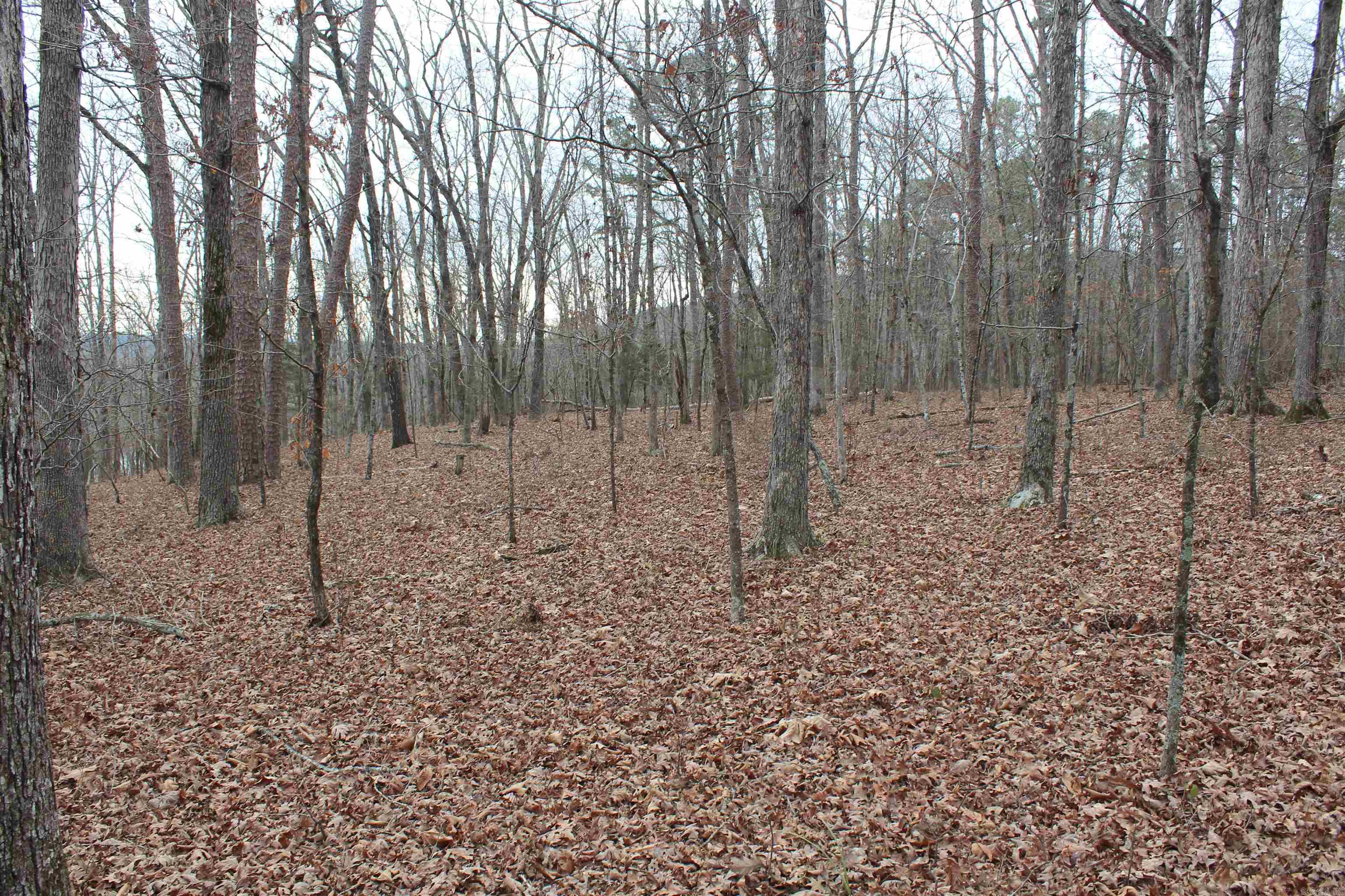 Not in Subdivision - Land