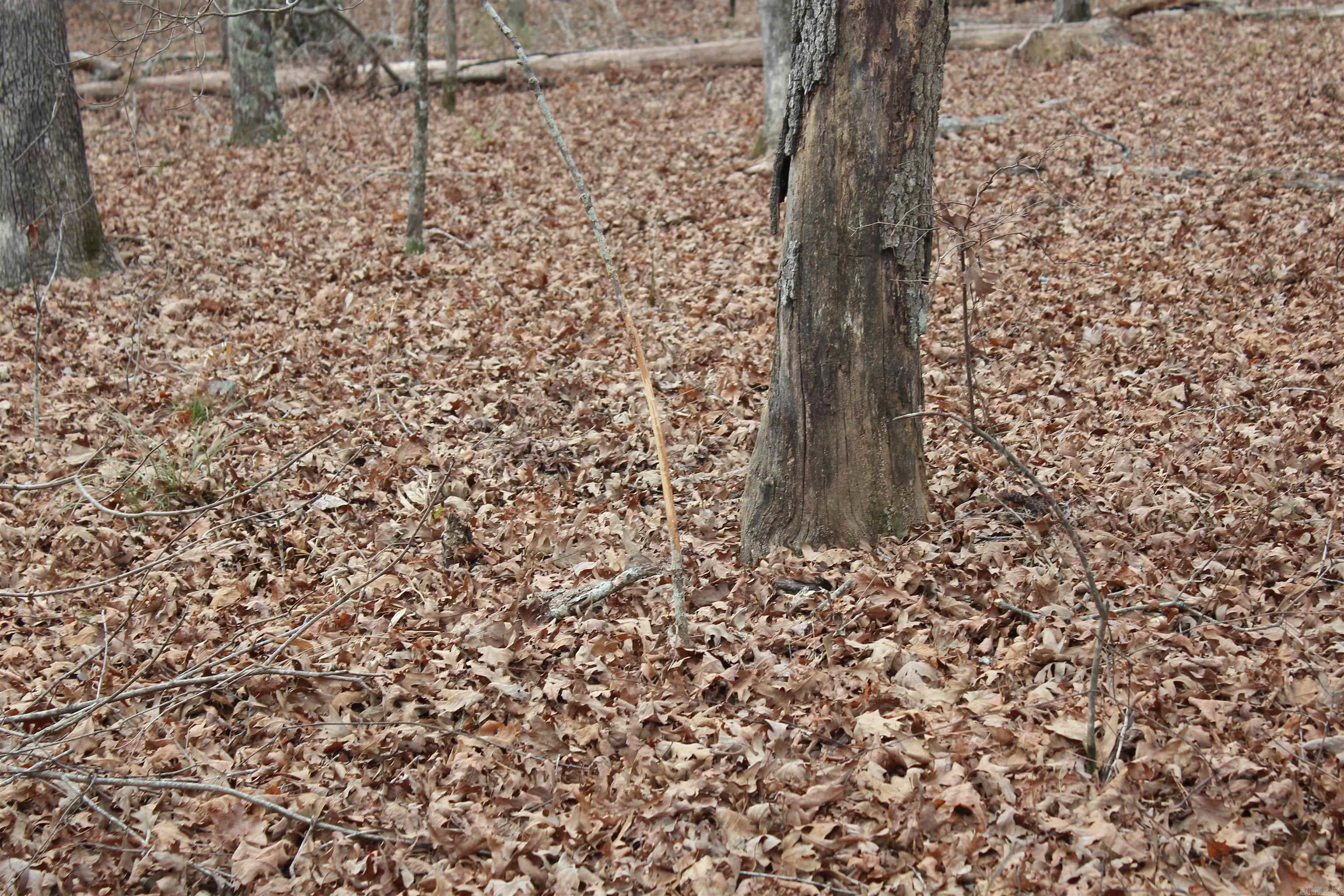Not in Subdivision - Land