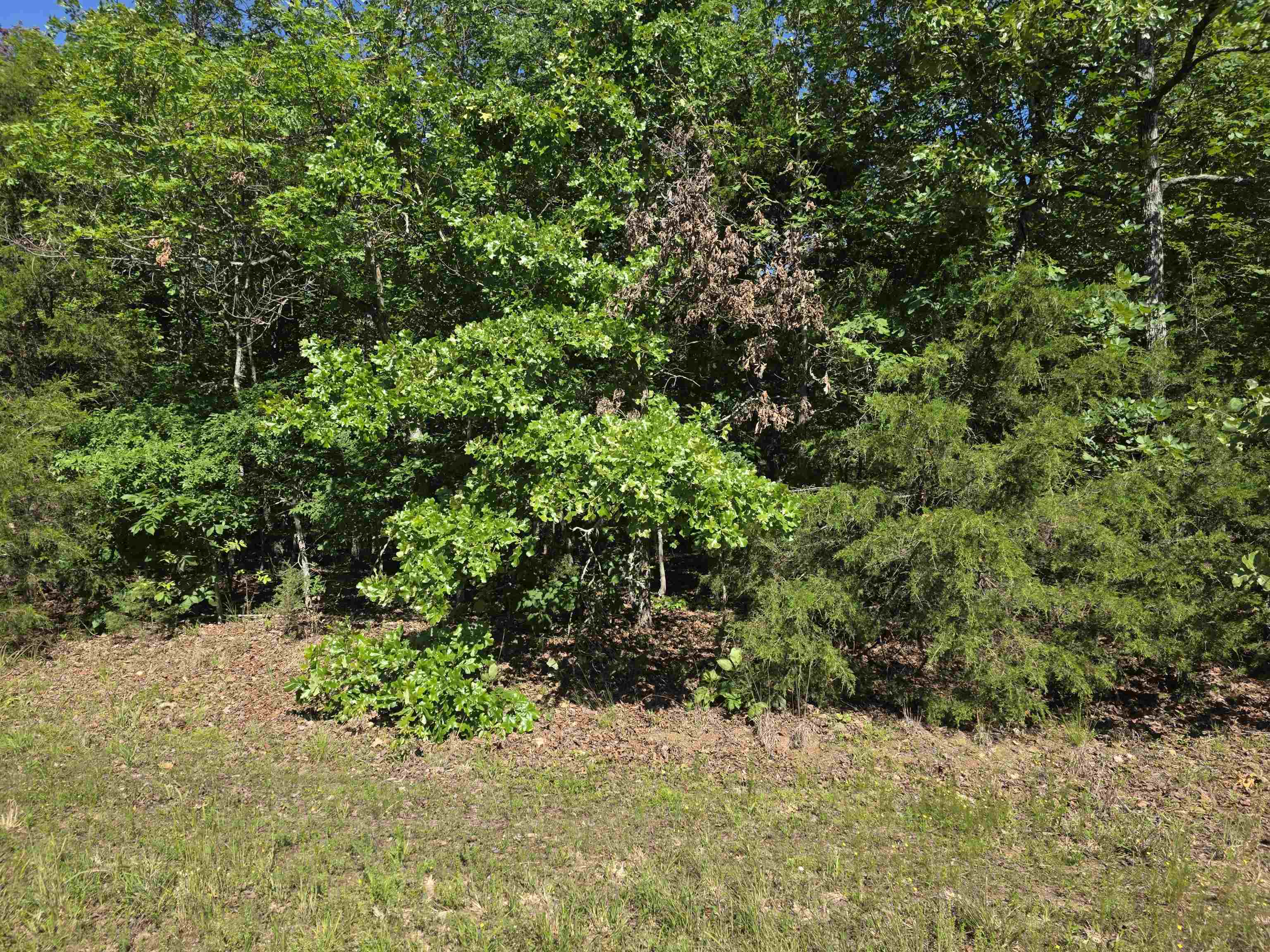 3.85 +/- Acres M/L of beautiful woods to build your hunting camp, homestead cabin or forever home. This property is located on Barnes Rd and Cedar St. Out of the city limits just far enough out to feel like seclusion. Beautiful woods that are full of trees. Mature trees, cedar, several types of oak, etc. This is a nature lover’s dream. This land would make for great off grid living. Secluded, wooded and loaded with game makes it great for hunting or just watching nature from your little piece of Heaven on Earth. Homesteaders dream property or Off-Grid living at its finest. What more could you ask for? Come see this wonderful property for yourself and pick your spot for your new homestead.