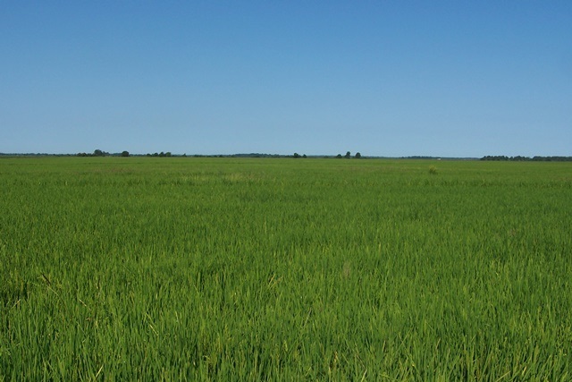 Metes & Bounds - Farm