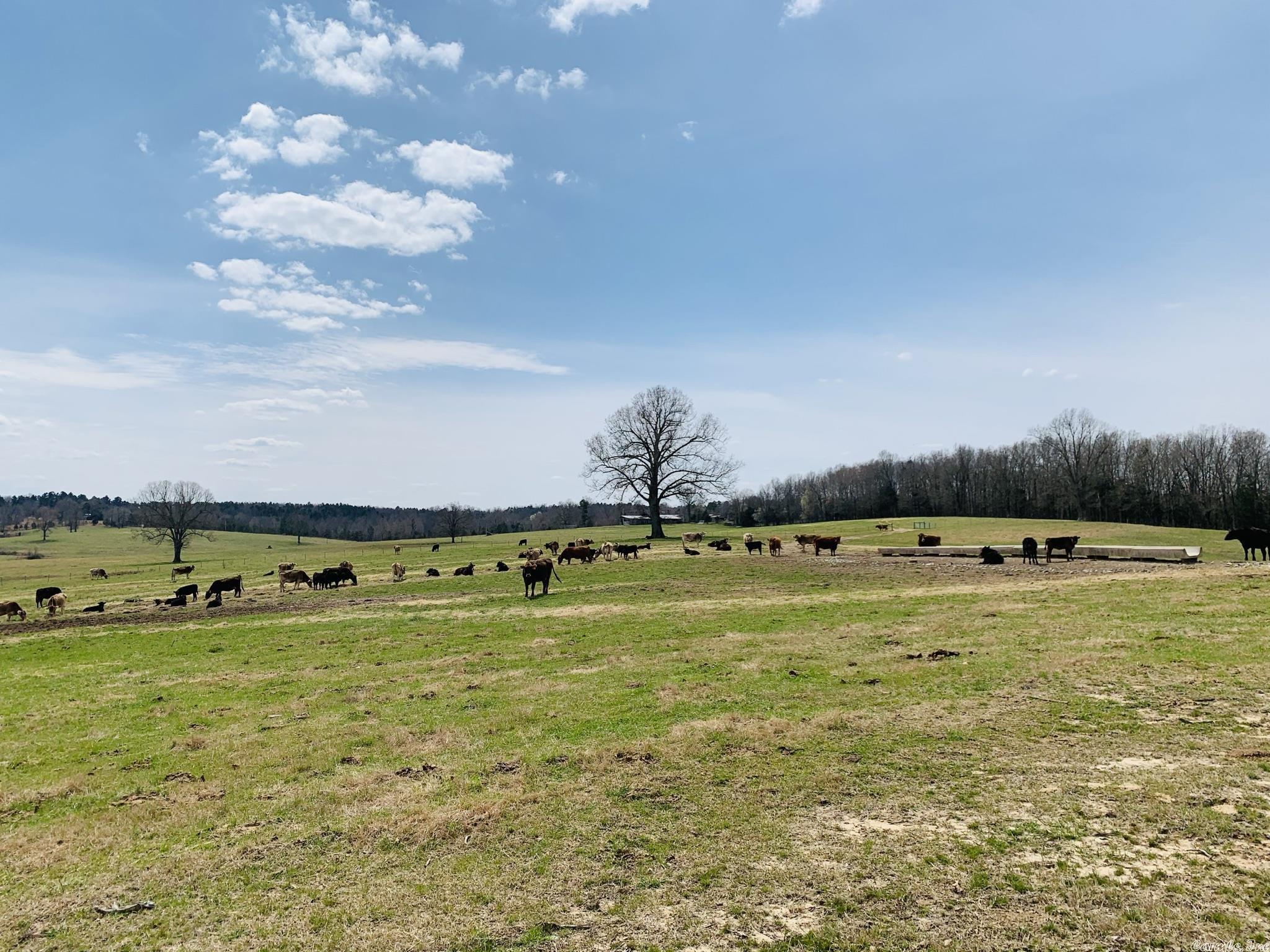 Springhill Acres - Residential