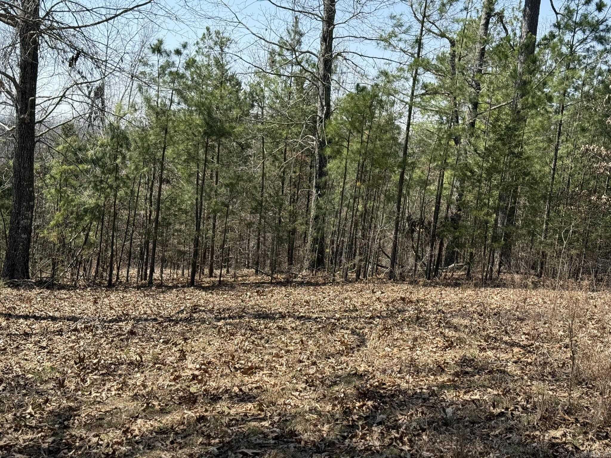 COMSTOCK COVE - Land