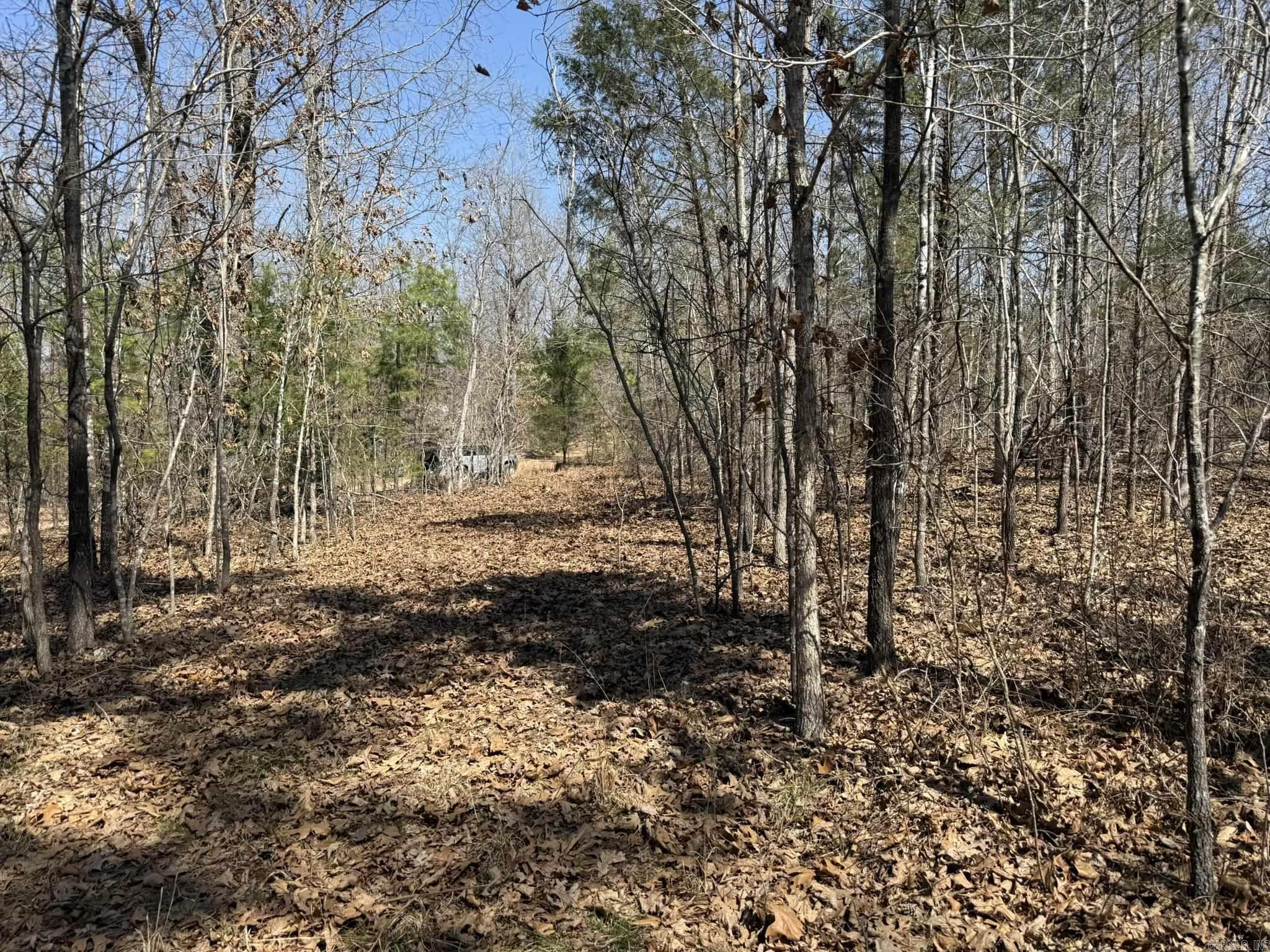 COMSTOCK COVE - Land