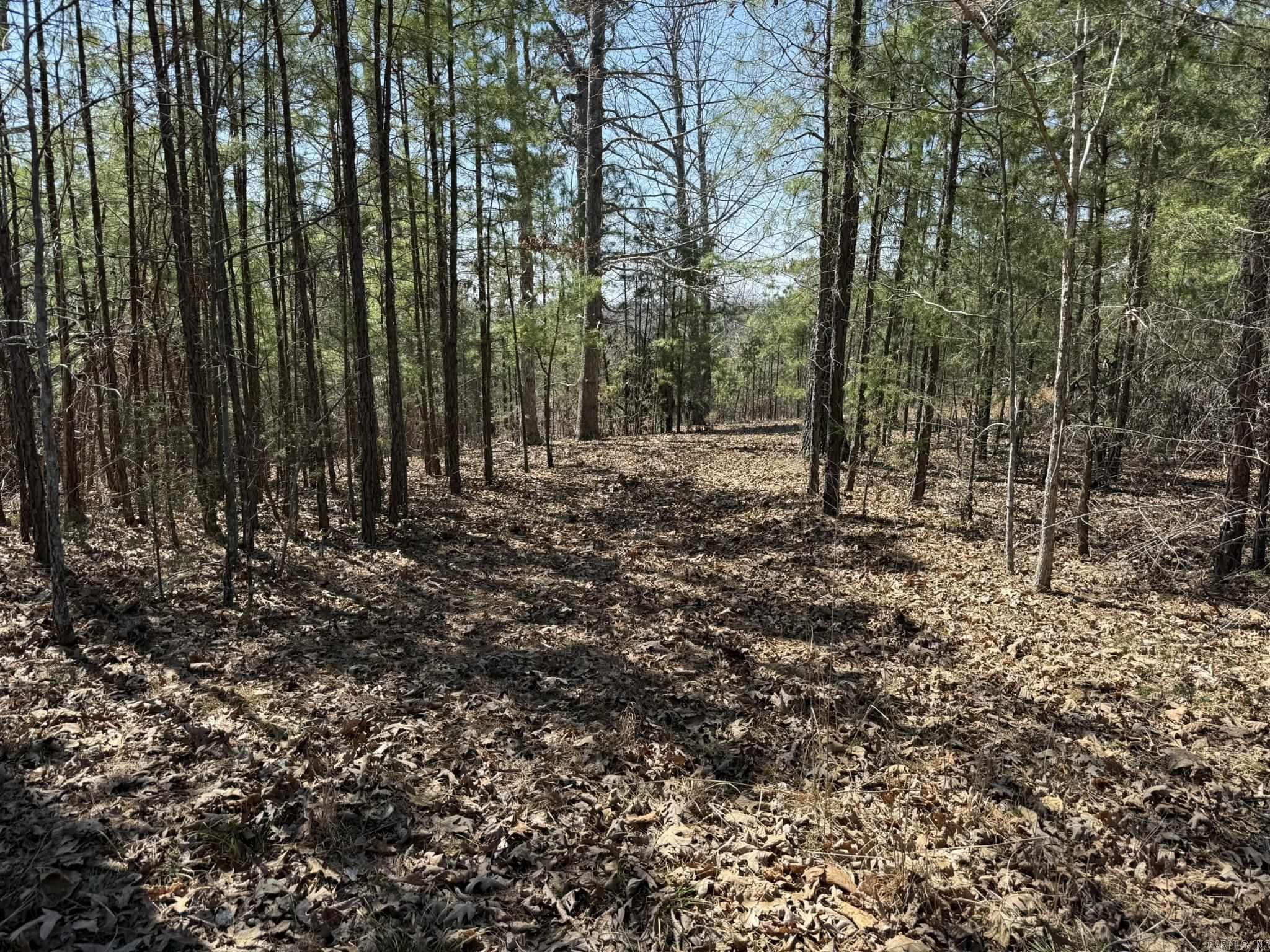 COMSTOCK COVE - Land
