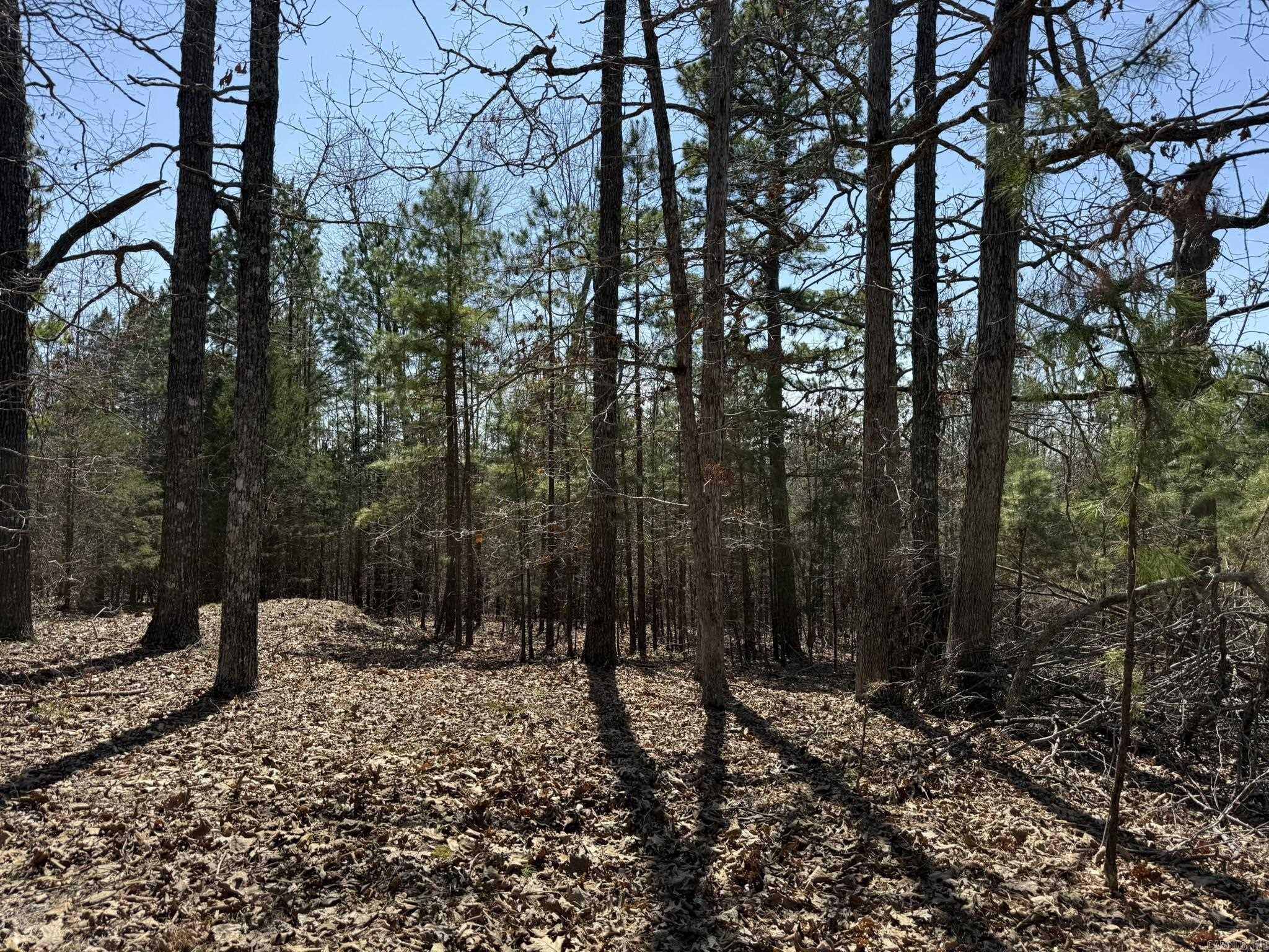 COMSTOCK COVE - Land