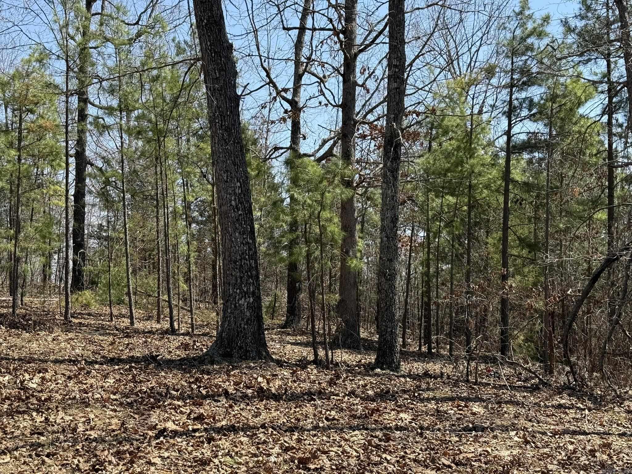 COMSTOCK COVE - Land