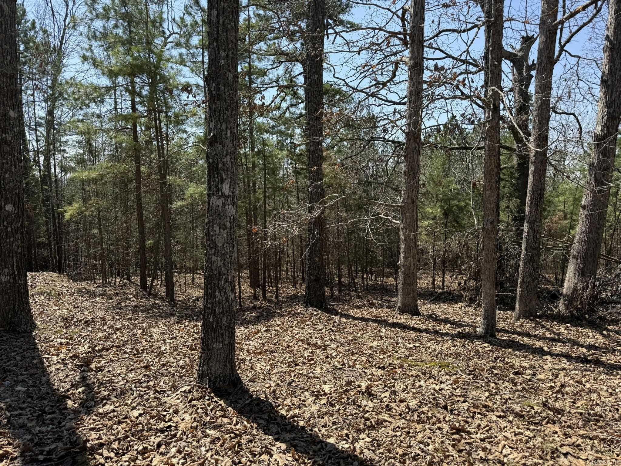 COMSTOCK COVE - Land