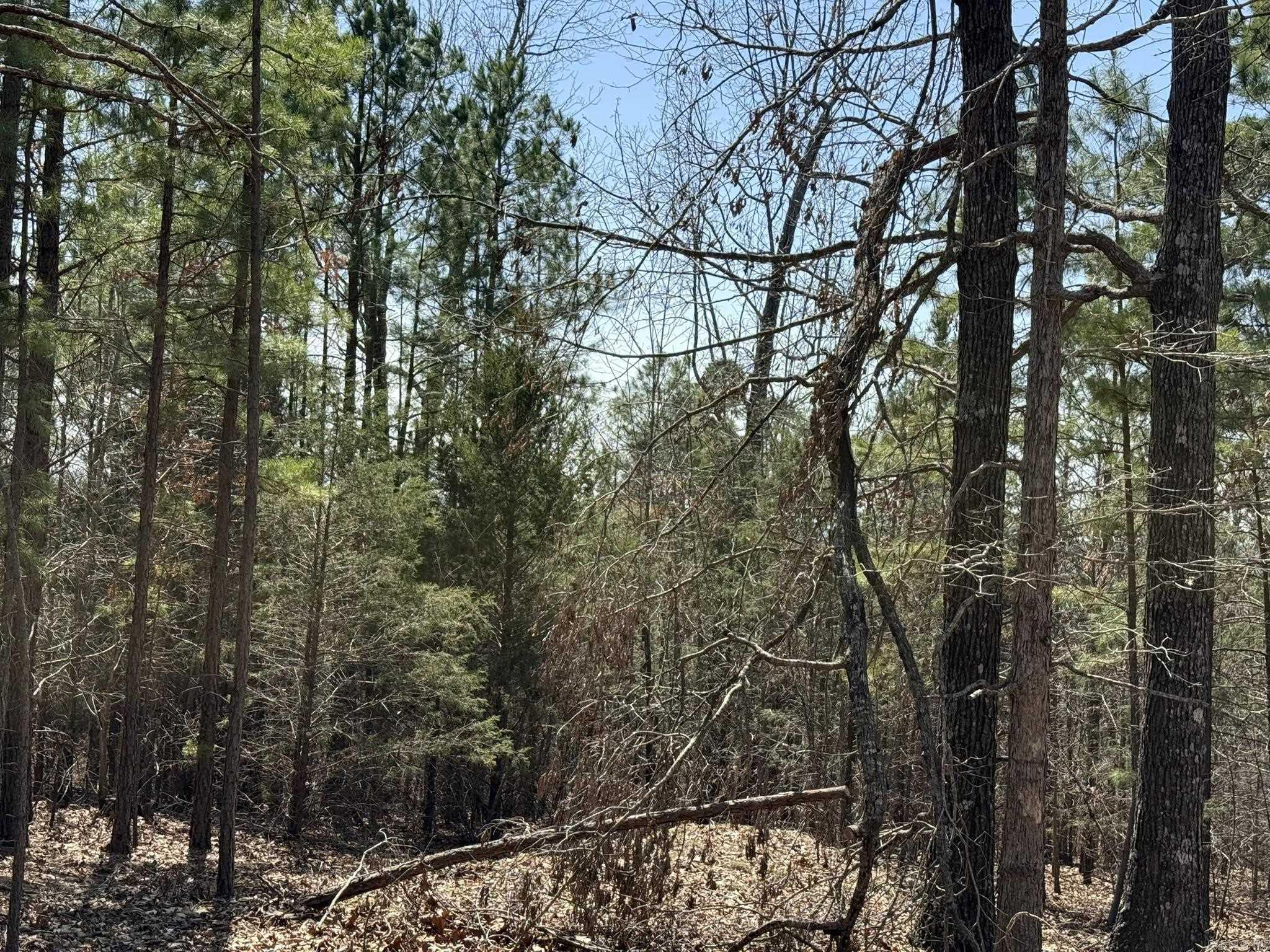 COMSTOCK COVE - Land