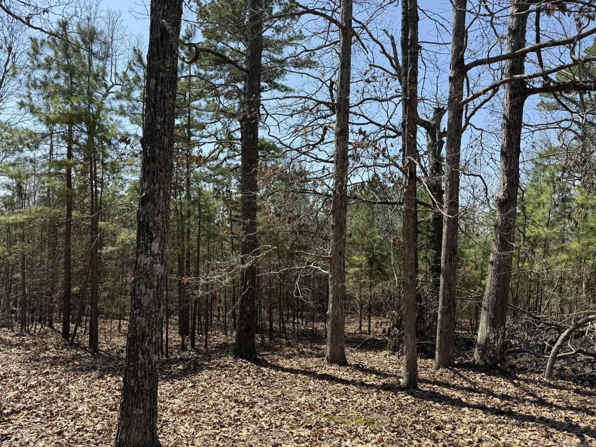 COMSTOCK COVE - Land