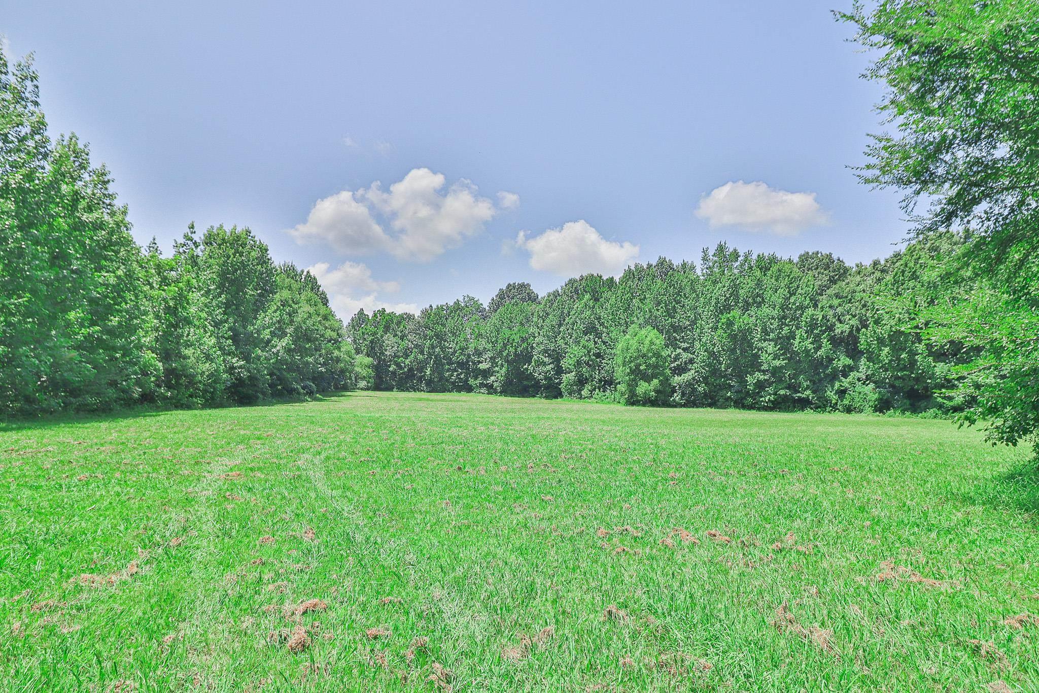 RYANS SURVEY - Land