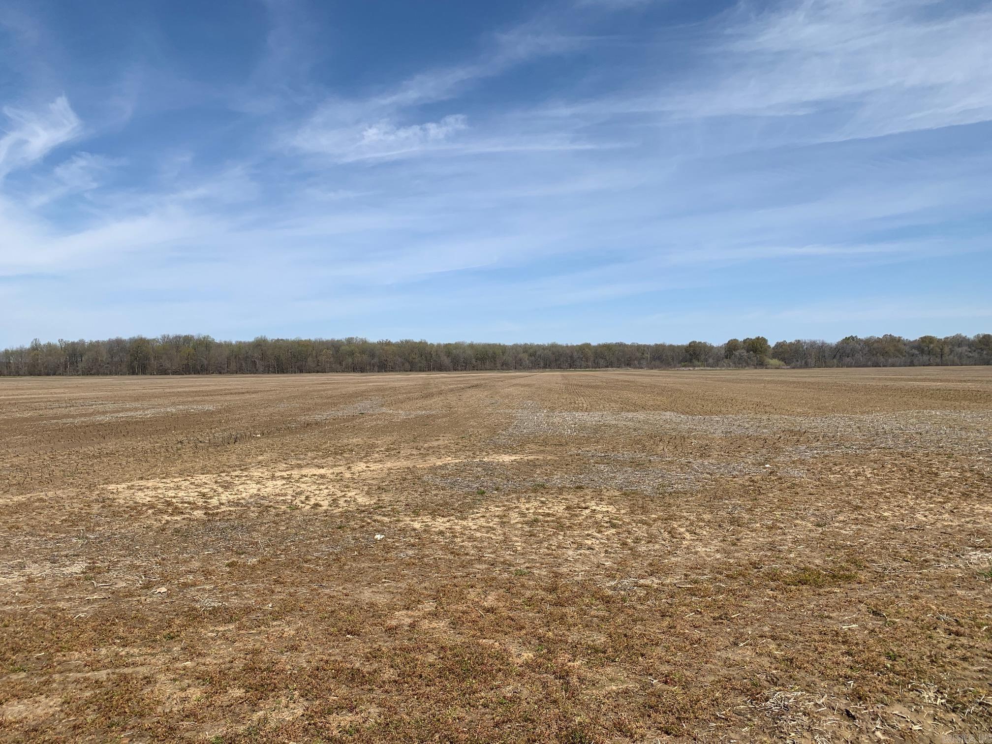 320+- acres split almost with rice/bean farm and Green timber bottom land.  Here is a unique spot located in the Arkansas flyway between Wynne and McCrory Arkansas.  Hickory Ridge is a town of 200+- the farm is  north of highway 64 and east of highway 49 in Cross County.  Cash rent is applied to the tillable acres only.  The woods(171+-) can be flooded by dropping boards on a water control structure on the the northwest end of the tract.  A ditch has been dug around the property and the owner has only needed to use a well to flood the woods a few times since 1987 when he aquired the ground.  The woods usually flood with no help from the owner except to put boards up in the water control structure.   The tillable acres (149+-) are rotated every year with rice and beans.  One well (submersible pump with a power unit) is used (1800 gallons per minute) to flood the entire acerage.   This farm is located between two paved roads that are a few miles apart, however, the owner has deeded easement from two directions one of which has a gravel base which a pickup can reach the farm with no problems even if the road is under water (rare event).