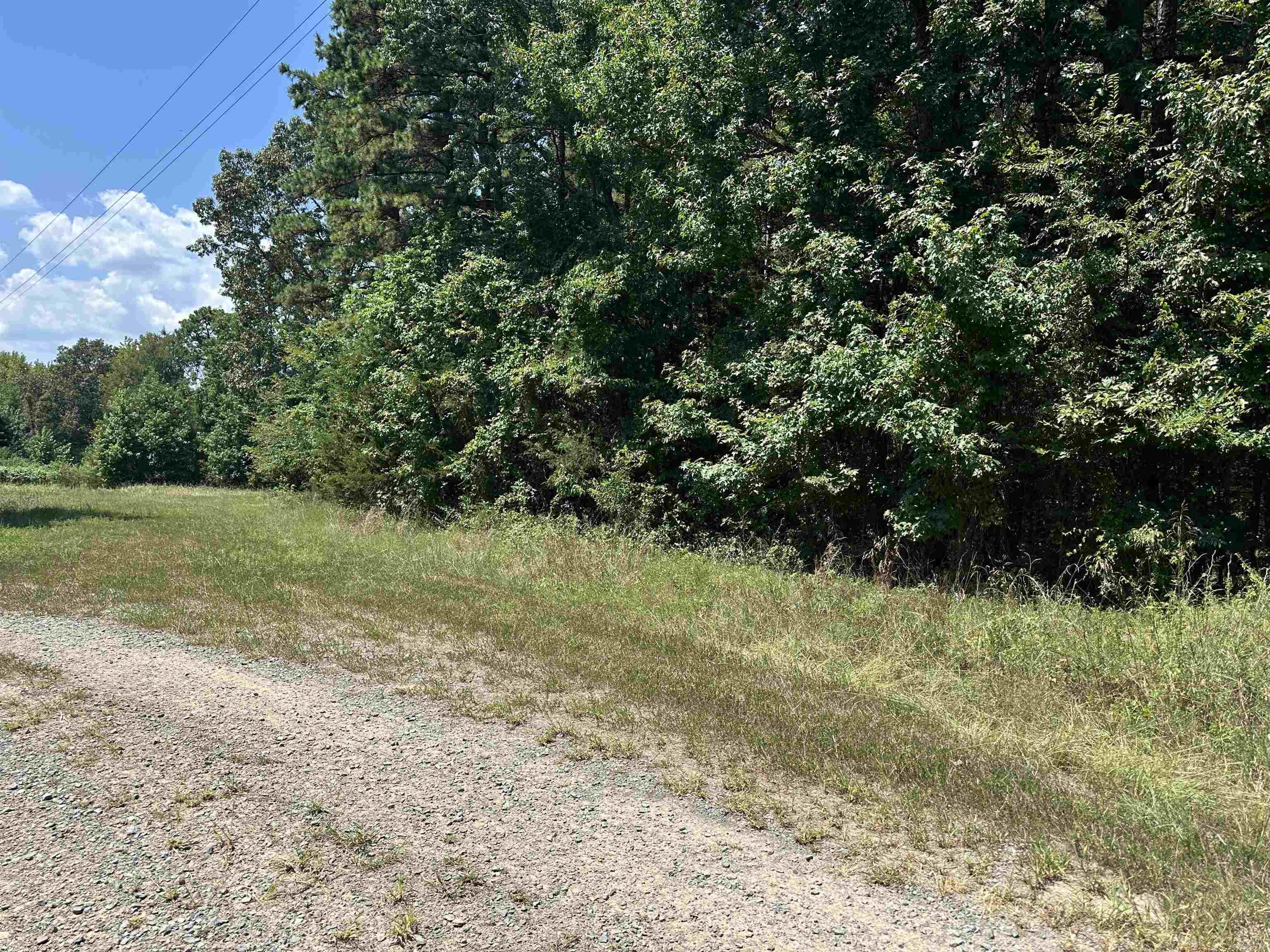 Nice wooded land ready for you to build whatever you can think up. Come to Shiloh park.