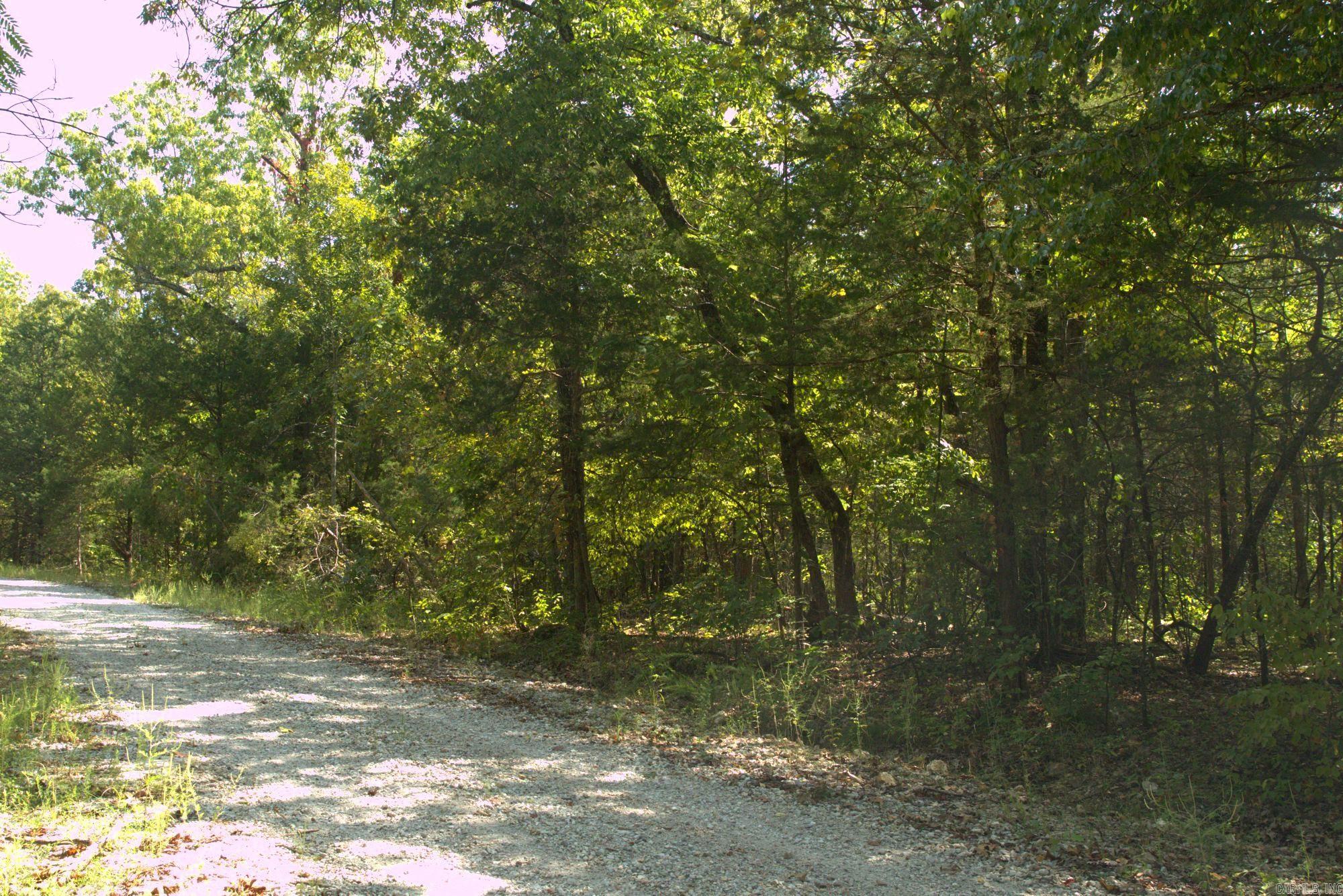 Pioneer Park - Land