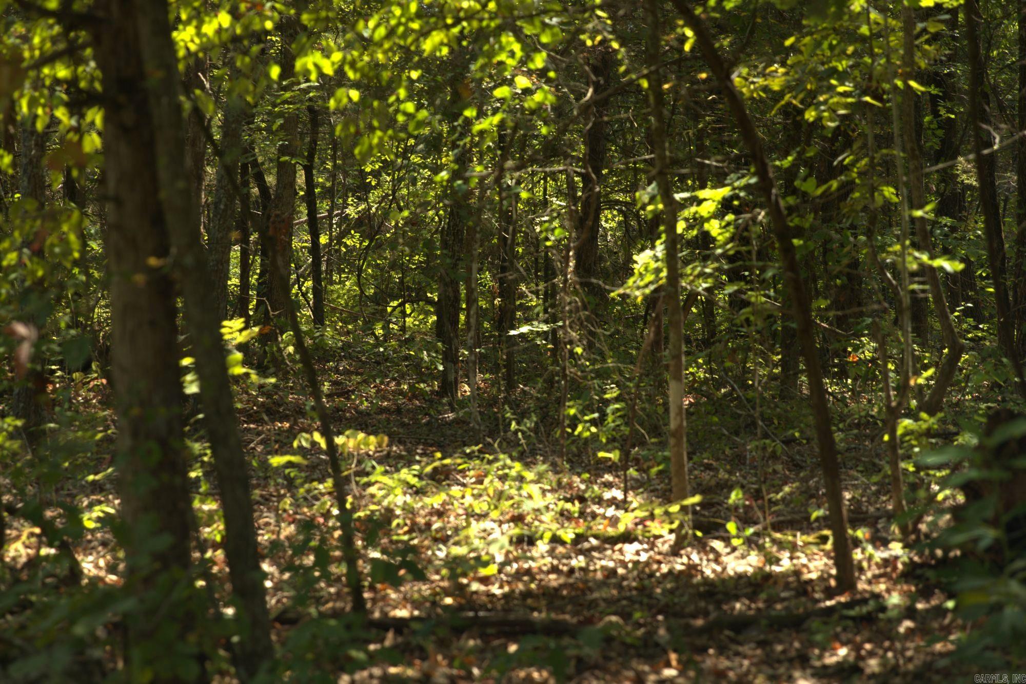 Pioneer Park - Land
