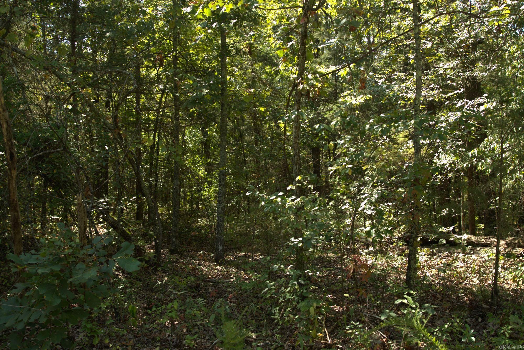 Pioneer Park - Land