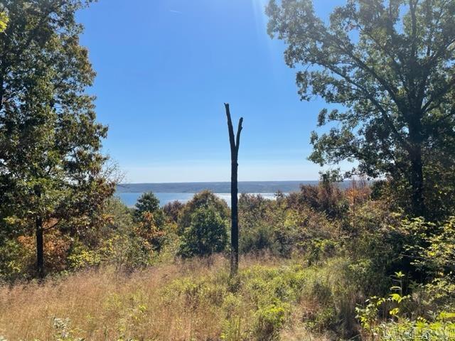 Enjoy the quiet, beautiful subdivision of Diamond Bluff Estates East.  The views are fabulous.  Perfect lot to build on and enjoy.