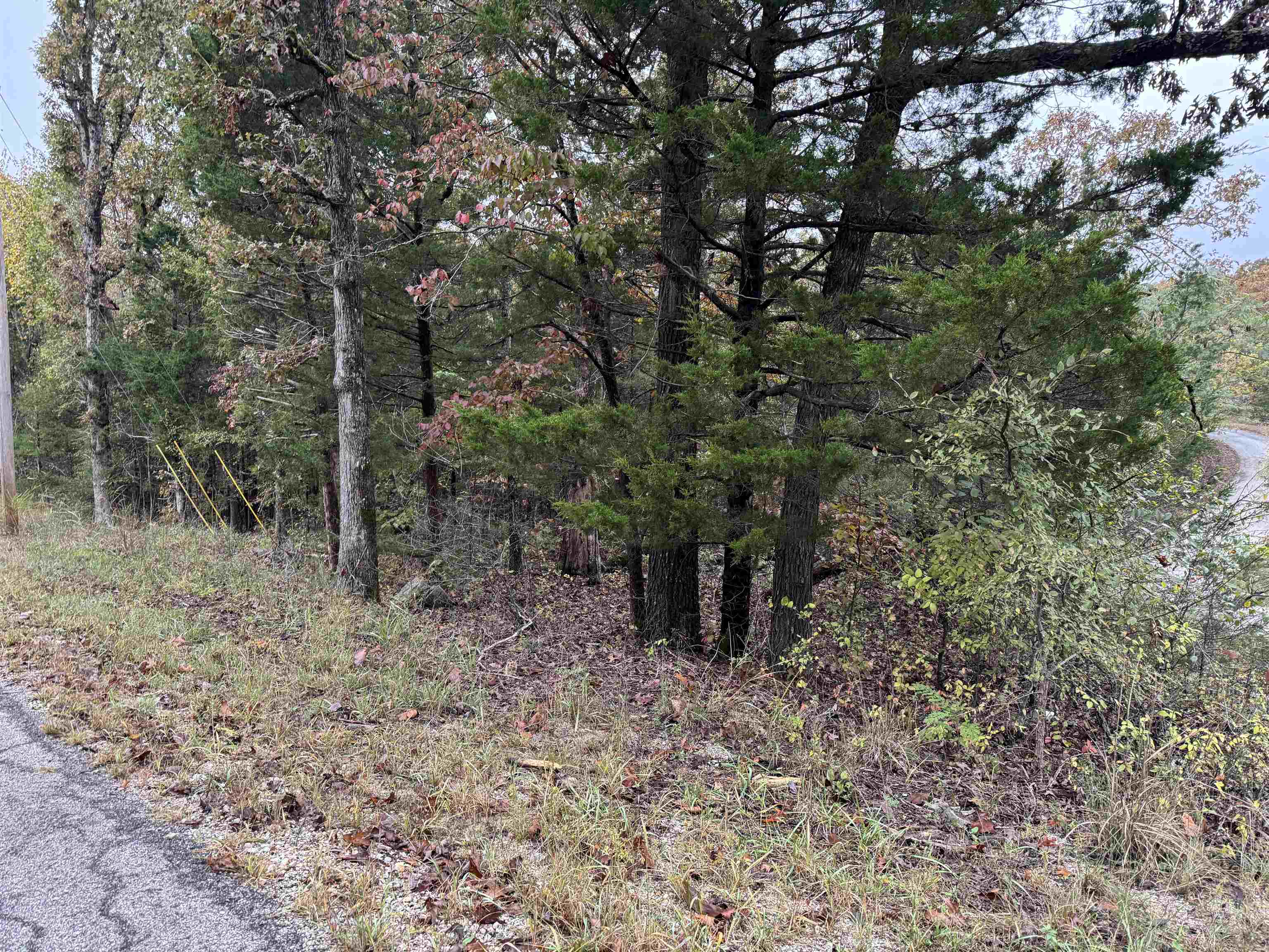 Escape to the peace and quiet of Horseshoe Bend! This lovely, wooded lot is situated in a tranquil location just moments away from beautiful Pioneer Lake. Located at 1300 Hummingbird Lane, this property offers a serene setting perfect for building your dream home or a quiet getaway cabin. A state-approved percolation test will be required prior to building. The buyer will receive a limited warranty deed. All property owners pay $80.00 per year to Parks and Recreation, which covers the maintenance of the wonderful area amenities. Don't miss this opportunity to own a piece of the Ozarks!