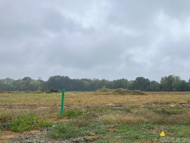 Explore the first phase of Floridian Heights subdivision in Beebe, which features cleared and level lots, utilities and build ready. Ideally located less than a mile from downtown Beebe and just minutes away from the main town, where you find schools, enjoy antique shops, thrift stores, boutiques, retail shopping, restaurants, and your favorite coffee bistro before heading to the city ballpark. Interstate access is only a five-minute drive away, making commuting convenient.