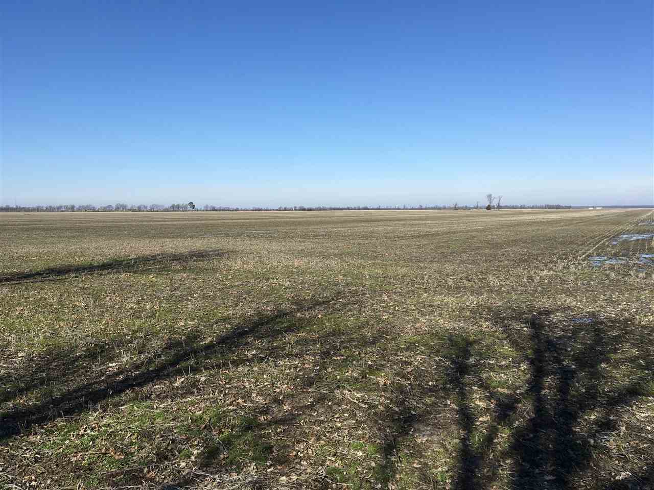 Farm raises rice, soybeans, milo and can raise wheat and corn.This property has 2 wells on it and has good gravel road frontage.On the road there is about a 5 acres piece that had a mobile on it at one time and would be a spot to build you a home or maybe a duck club.This property has great waterfowl and whitetail deer hunting on it.There is a 3 year lease on the farm with current farmer.This property has good crops, rich soil but also Excellent Duck hunting.