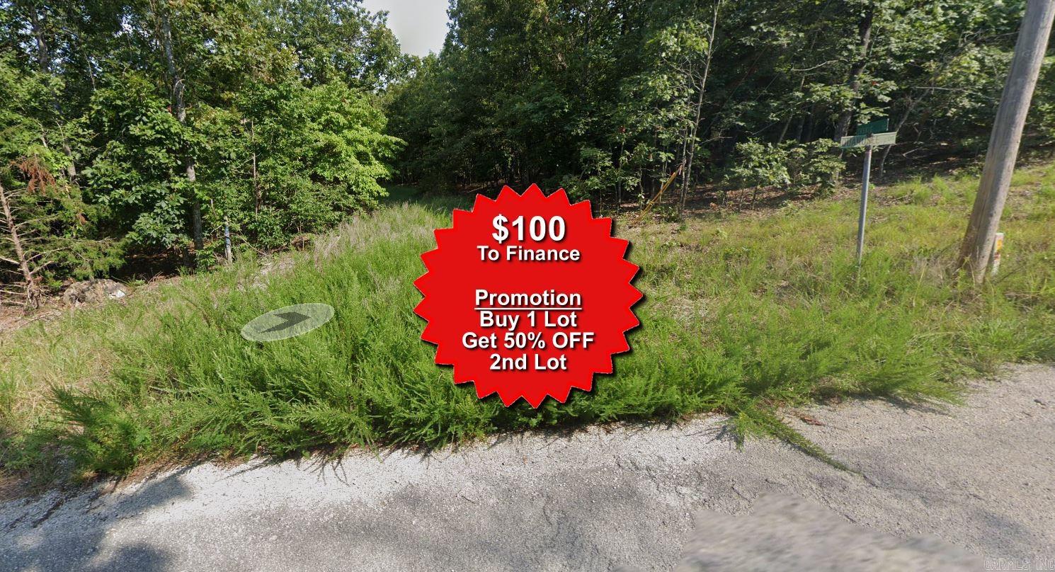 Buy one lot and get 50% off an additional lot! Part of a set of adjoining lots available. Owner-finance for easy terms. Cash buyers can pay by debit or credit card as well. Nice lot to develop or hold for future value. Public water and electric are available to run to property and will need septic. Owner/agent. No mobiles allowed. 300-2500 minimum build size on any other type of home, depending on subdivision. Finance is 5 months at $237 and closing costs are included. Buyer responsible for any back, current and future taxes owed on this property. Lots marked with red banner are part of promotion. No limit on lots. Buyer responsible for any/all taxes and lots sold "as-is". Quit claim deed conveys. Parcel ID# 230-14699-000