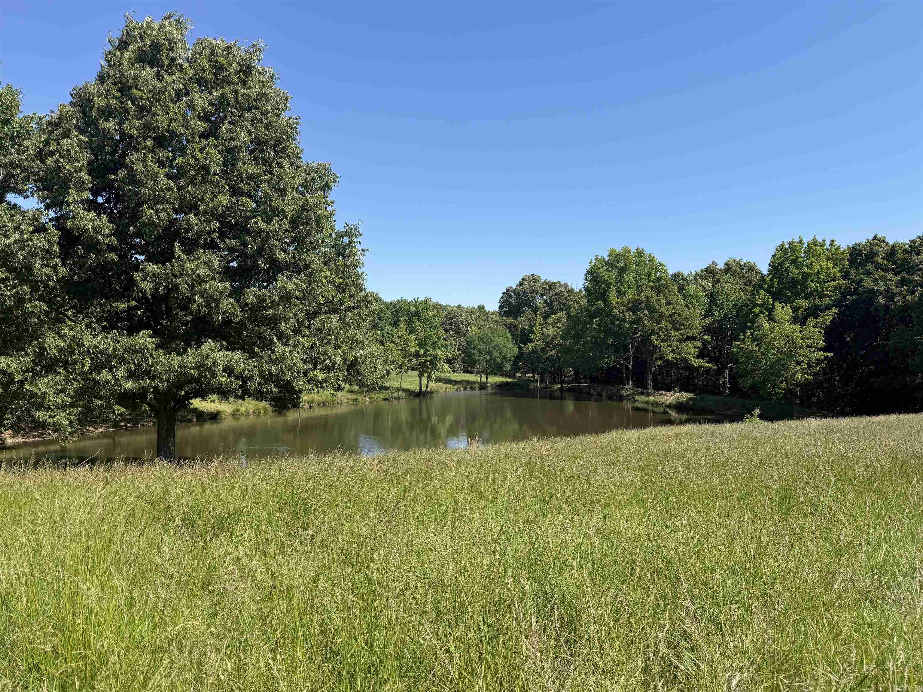 20-Acres of pasture and woods with a big pond. Just of CR 450 in Piggott.