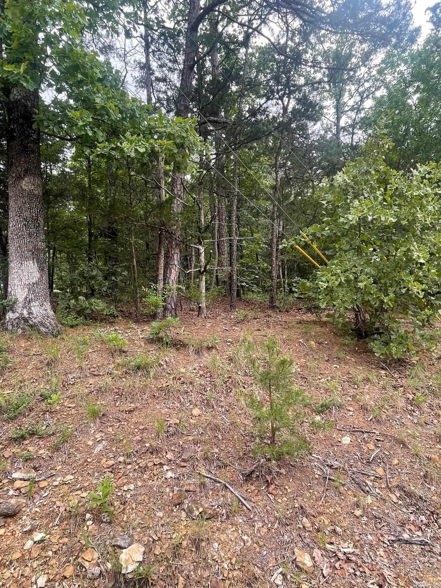Indian Hills - Land