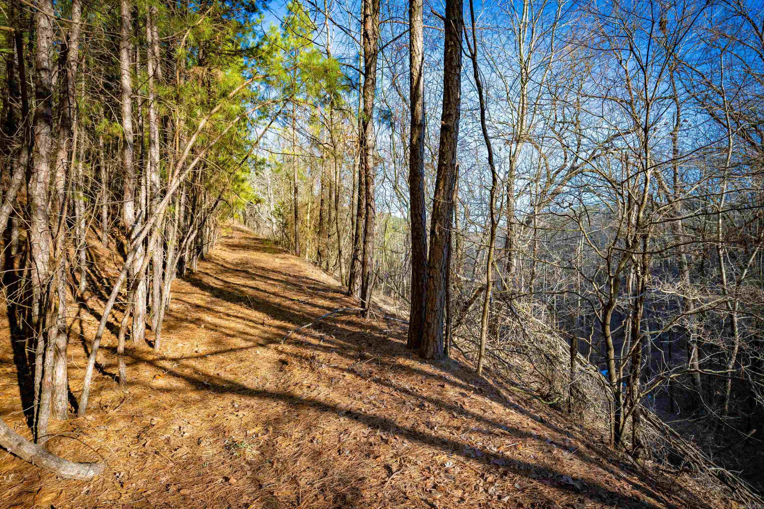 Discover 31.89 +/- stunning, wooded acres in Pulaski County offering exceptional privacy and natural beauty.  With no restrictions, this rare property provides the freedom to build multiple homes, create a private family compound or design your dream estate.  A well is already on the property and the mature trees create a peaceful, secluded setting.  This is the perfect opportunity to own land with unlimited potential in a beautiful Arkansas location.