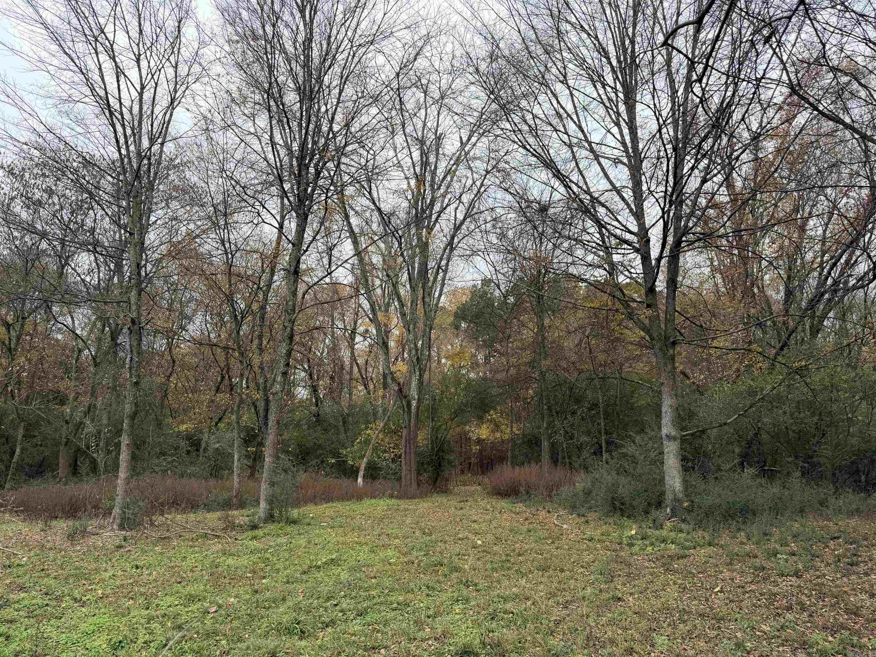 A Rare Find... 10 Wooded Acres located in the Heart of Bryant... Close and Convenient to the Interstate 30, All area Churches, Schools, Shopping, and Dining.
