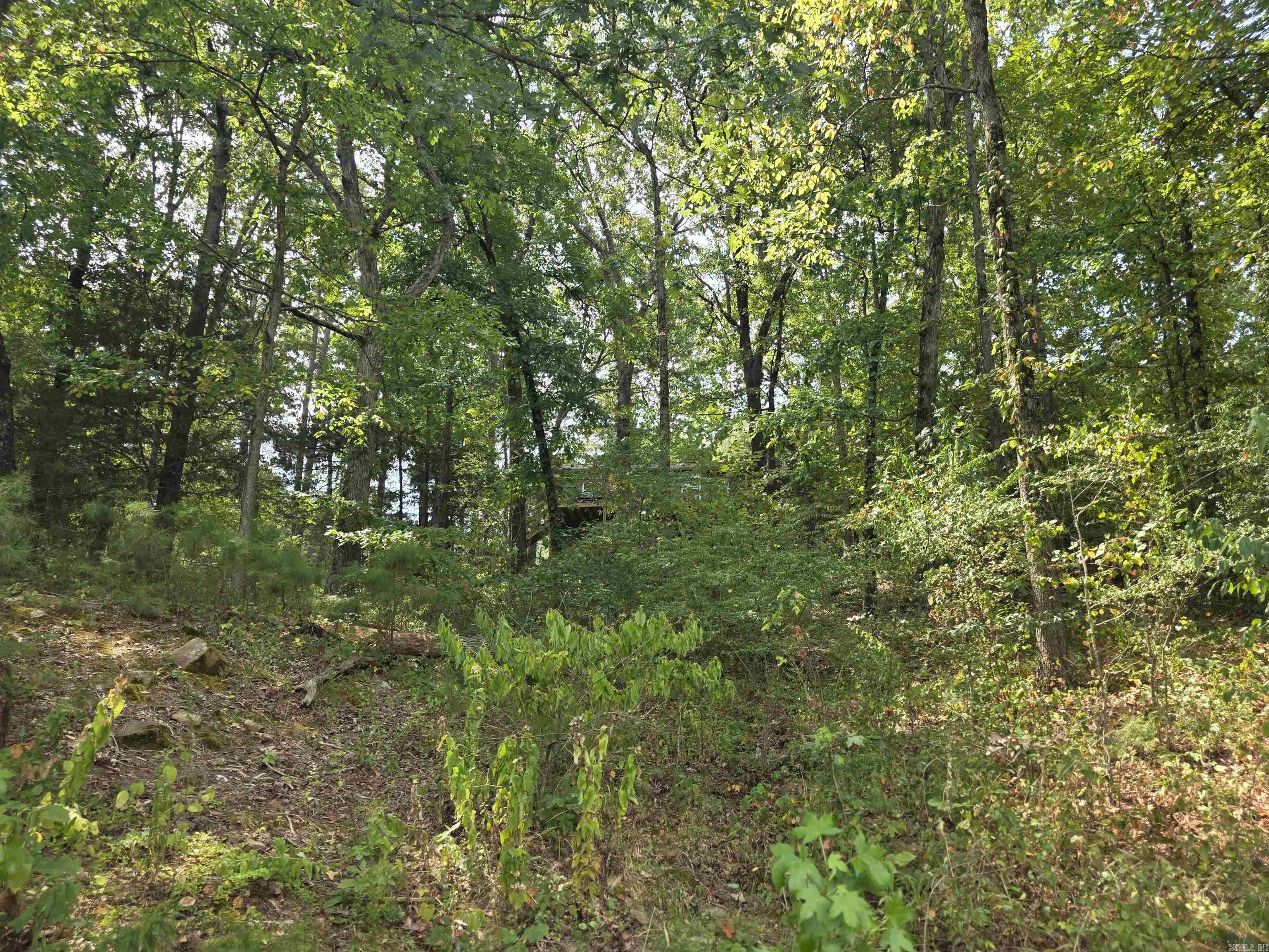 TWIN COVE ESTATES - LAKE - Residential