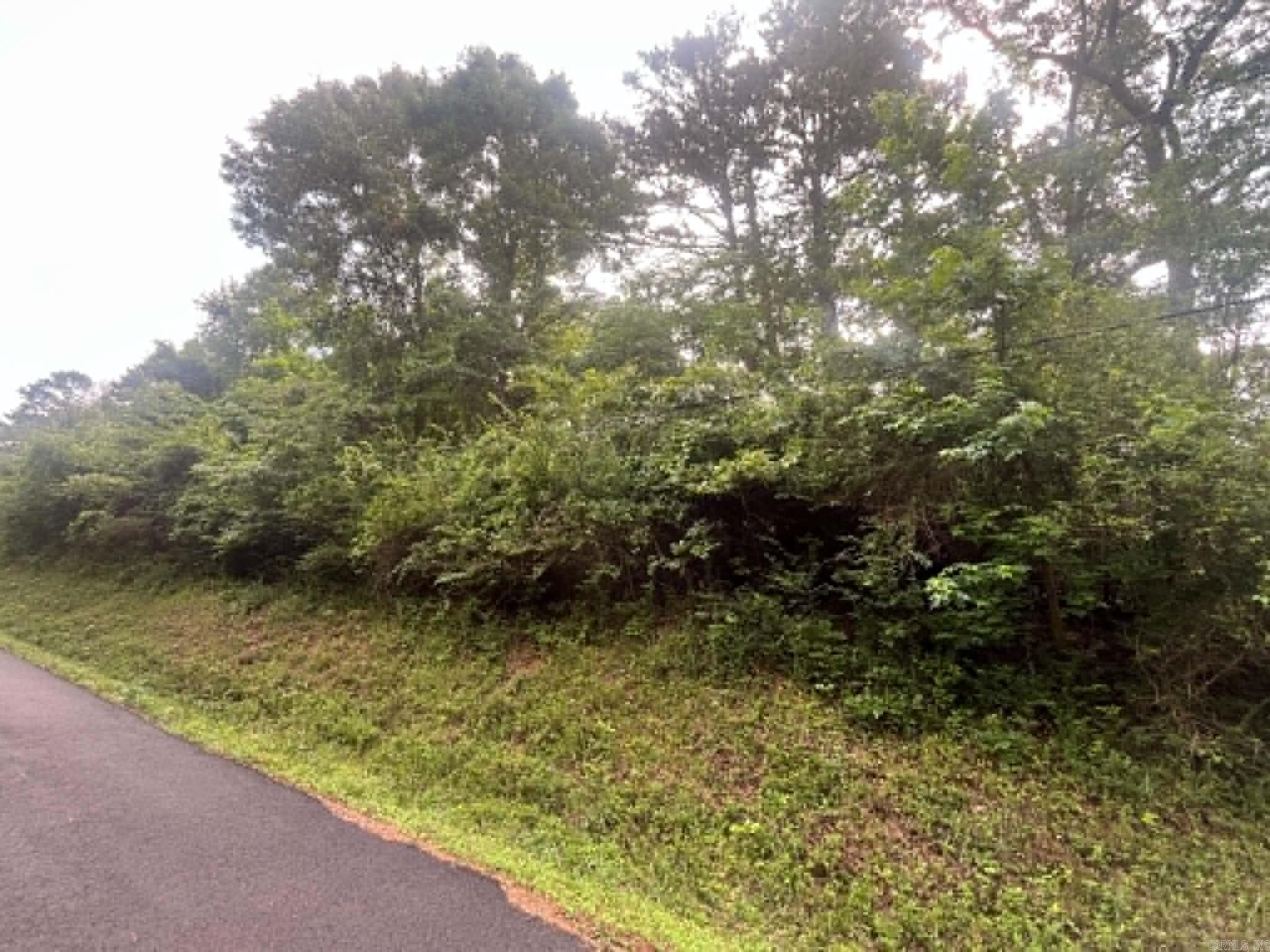 Nice lot to develop on quiet street. Great investment property. Very close to downtown Mena.