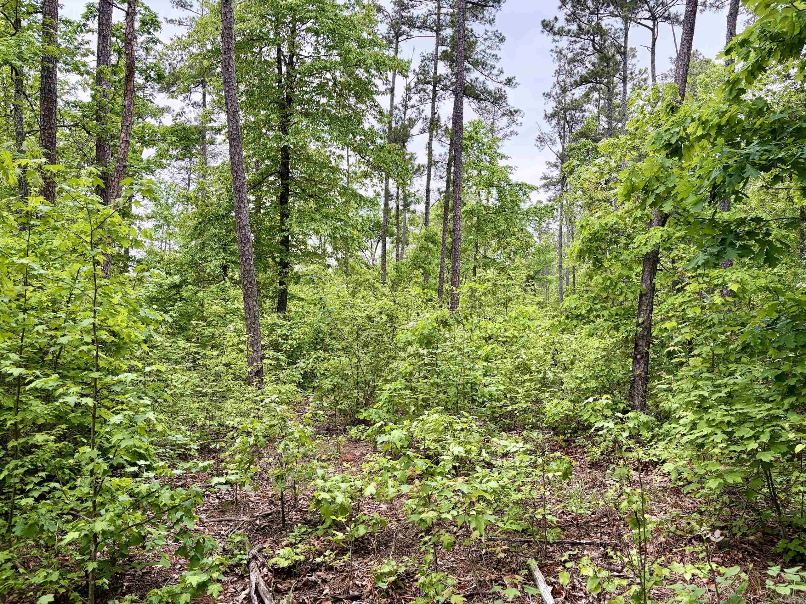 Not in Subdivision - Land