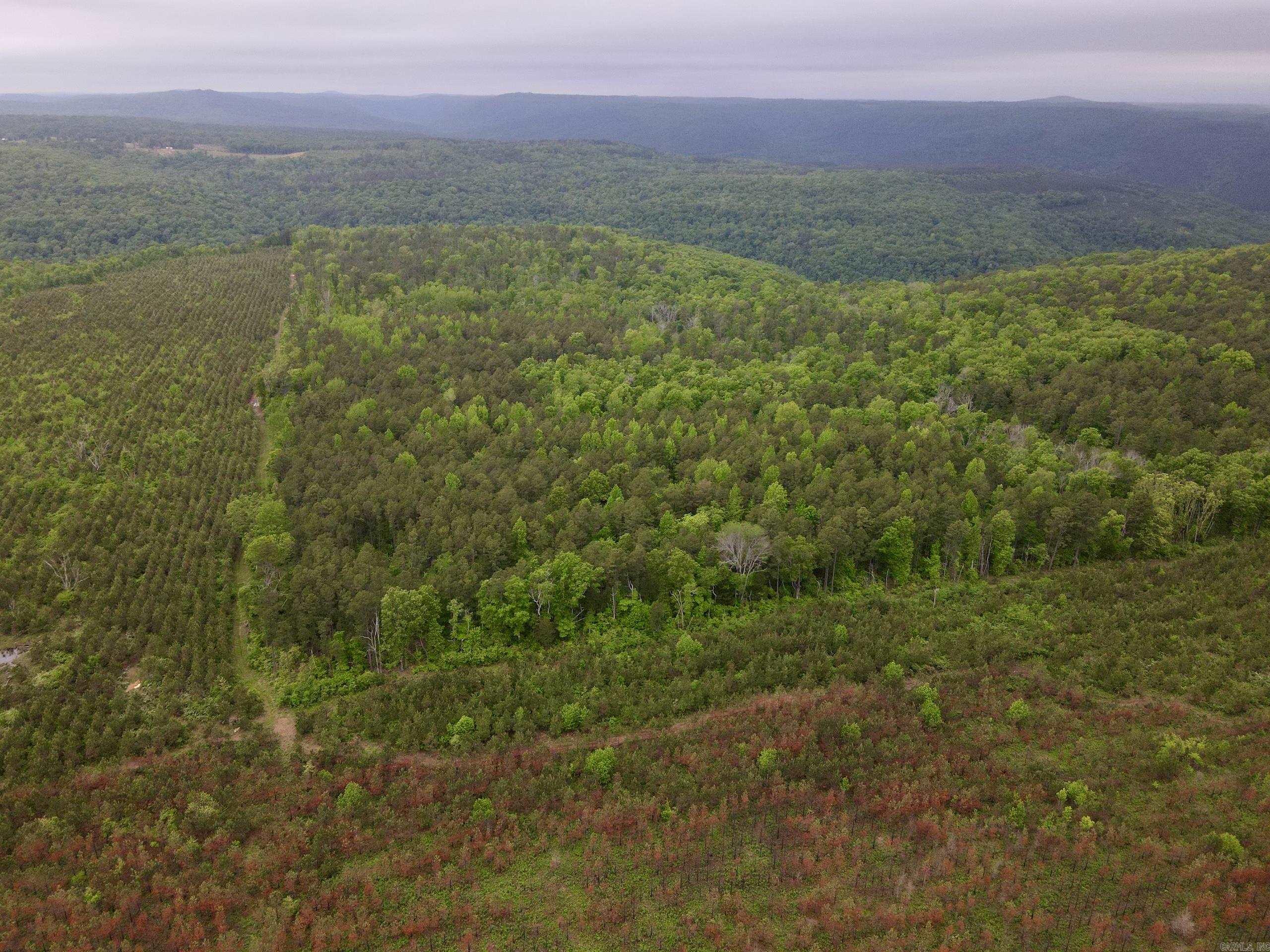This versatile recreational property near Highway 16 offers an excellent combination of privacy, access, and build potential. Accessed by a deeded easement just off Hwy 16, it provides convenience while maintaining a secluded setting.  The land has been selectively logged, creating an established trail system that allows easy navigation and access to multiple areas for hunting stands, food plots, or future development.  A mix of mature pine, young hardwood regeneration, and natural thickets creates quality habitat for deer, turkey, and black bear, making it a strong hunting tract with immediate potential.  The gently sloping terrain offers several prime building sites for a cabin, hunting camp, or weekend retreat. Electricity, internet, and county water are available along Hwy 16.  With deeded access, internal trails, strong habitat, and build potential, this property is ideal for hunting, recreation, or a future homesite in the Ozarks.