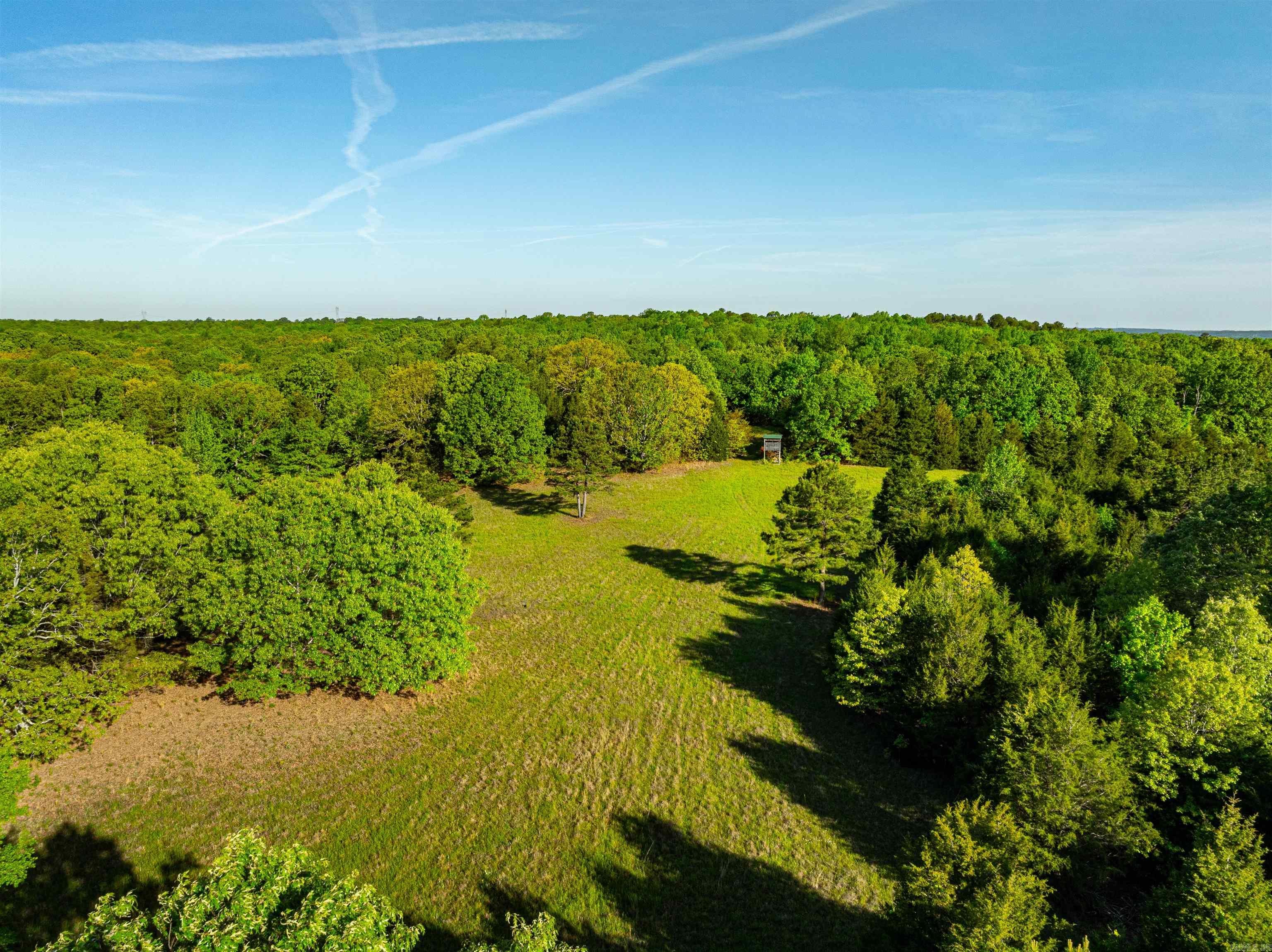 Just hitting the market....For a perfect mixture of woods, some pasture, 2 ponds with one being spring fed, level area and lots of building sites, large mature timber, great location just off 167 highway between Bald Knob and Pleasant Plains, Arkansas with an owned gravel road access to the property which is 40 ft wide off Jackson County Road 6 in Jackson County and has a new driveway with a gate just installed.  Very private property yet close to interstate if one needed to go somewhere!  Access to rural water and electric is at the road making it a great place to build you that forever home!  This property is a one of a kind and is ready for you!  Call us today to see this property.  Private gate at road, you own all the way to the county road, NOT just an easement, you OWN it!  Broker owned