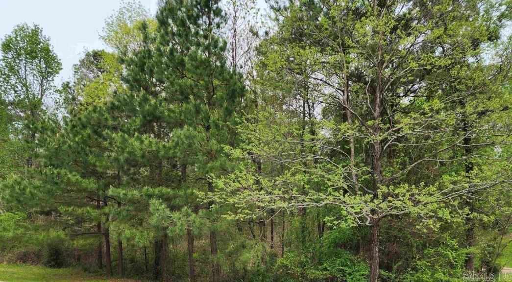 Lot 24, vacant, Timber Hills Subdivision in El Dorado on Evergreen St.