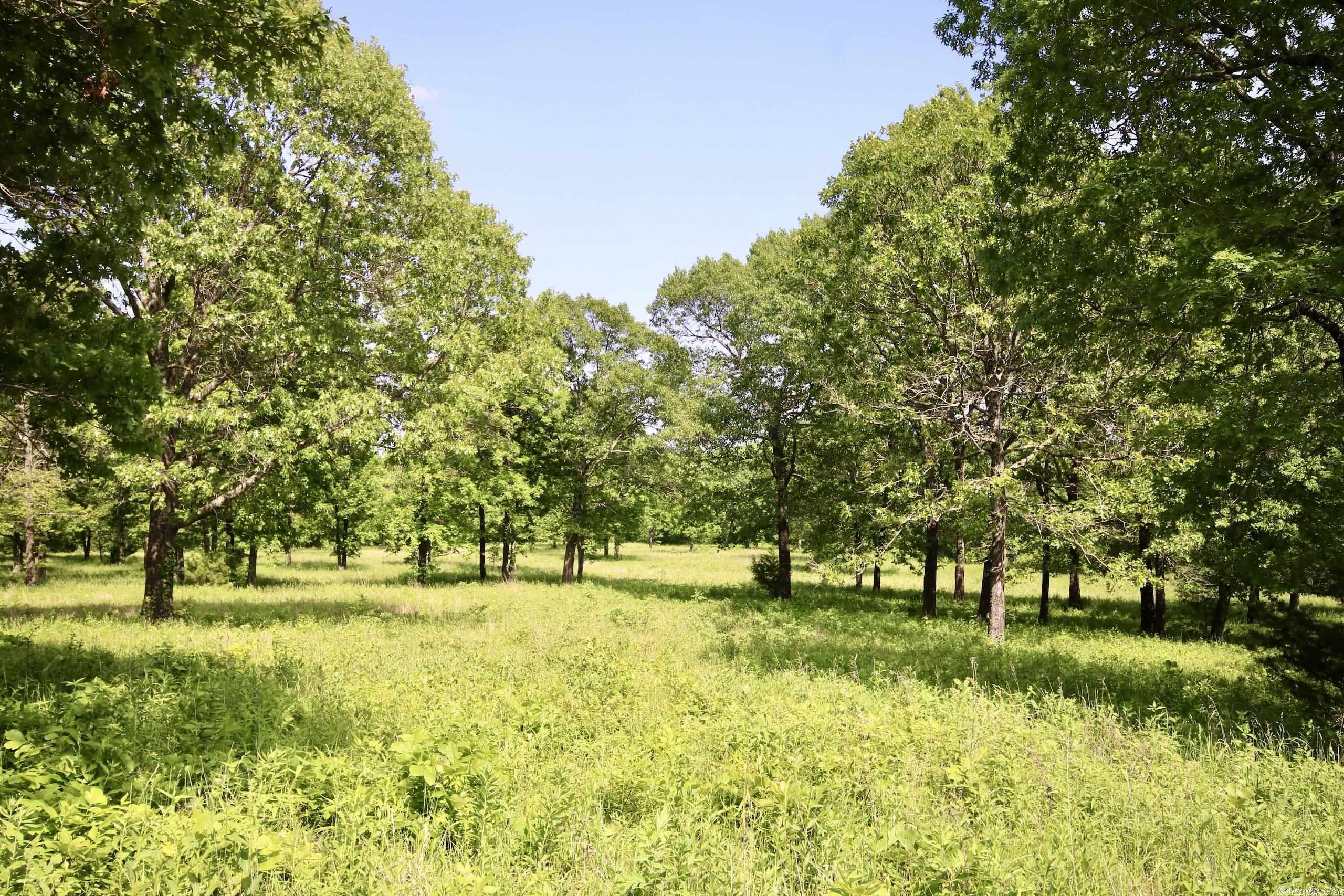 Not in Subdivision - Land