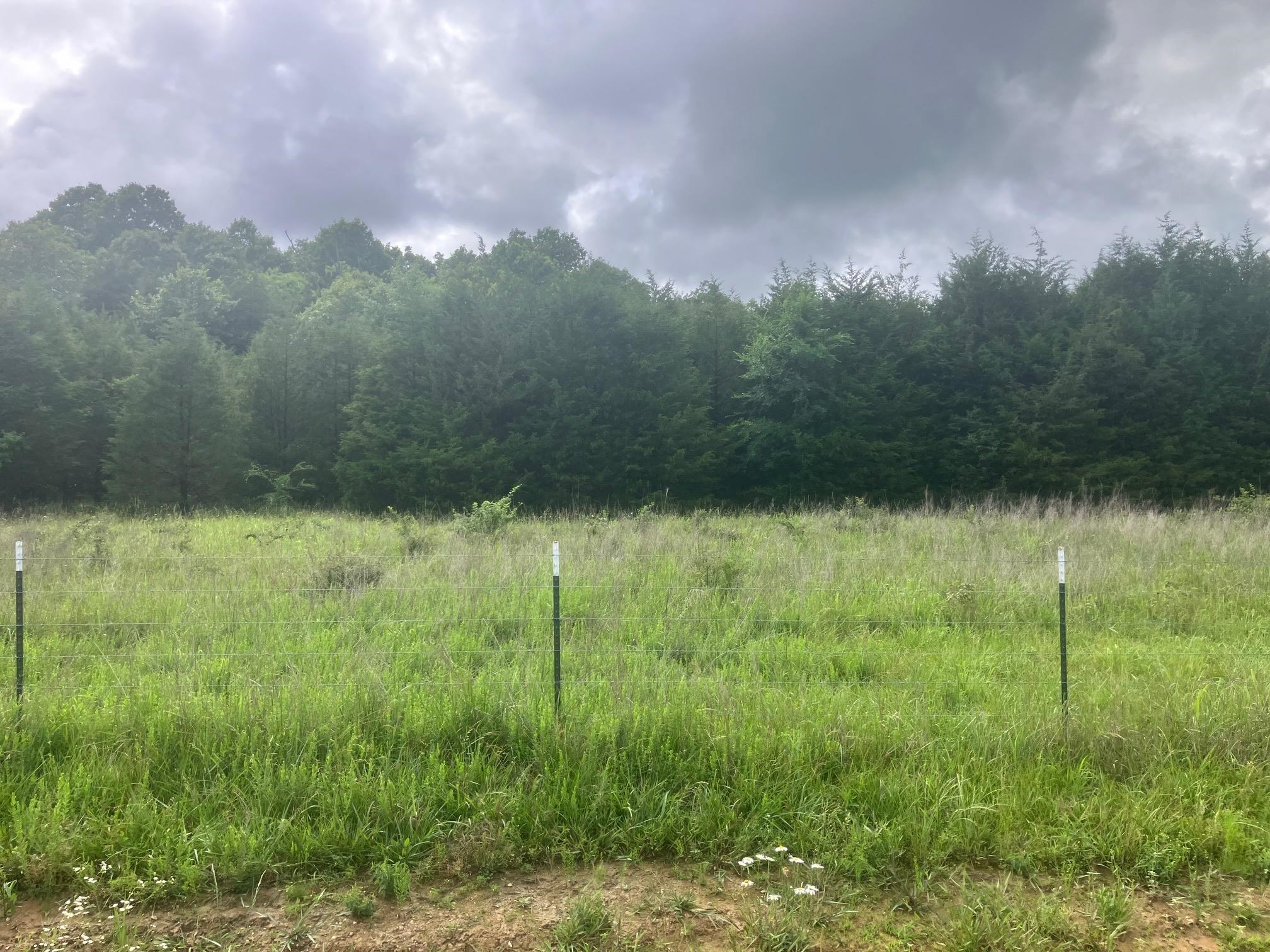Ready-to-use recreational paradise or future homesite! Nestled in the heart of Fulton County, this acreage offers the perfect blend of hunting woods and some open pasture. Whether you are looking for a weekend getaway, a hunting camp, or the ideal spot to build your dream home, this property is completely set up and ready to enjoy from day one. All the heavy lifting is already done for you: the property features rural water, electricity hook up, and septic system for a travel trailer. Peace of mind is built right in with an existing storm shelter on the property. Properties with this level of infrastructure and versatility don't stay on the market long. Don't wait-bring your camper, your side-by-side, and your hunting gear, and start enjoying the quiet country life today! Camper, pop-up trailer, and personal tools do not convey with the property.
