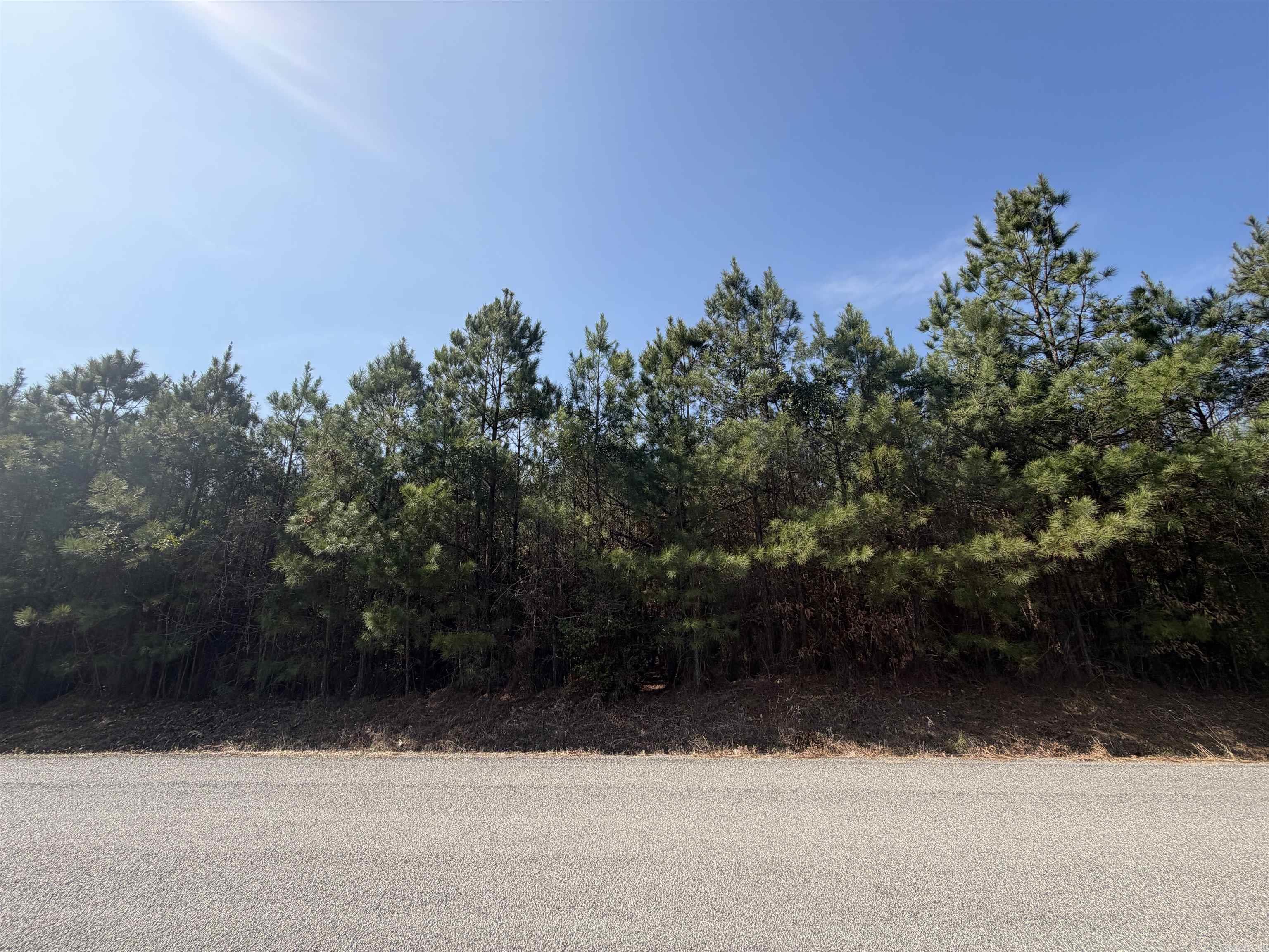 6.81 acres located in Sheridan city limits. Build your dream home. Restrictions and existing survey on file. Agents see remarks.
