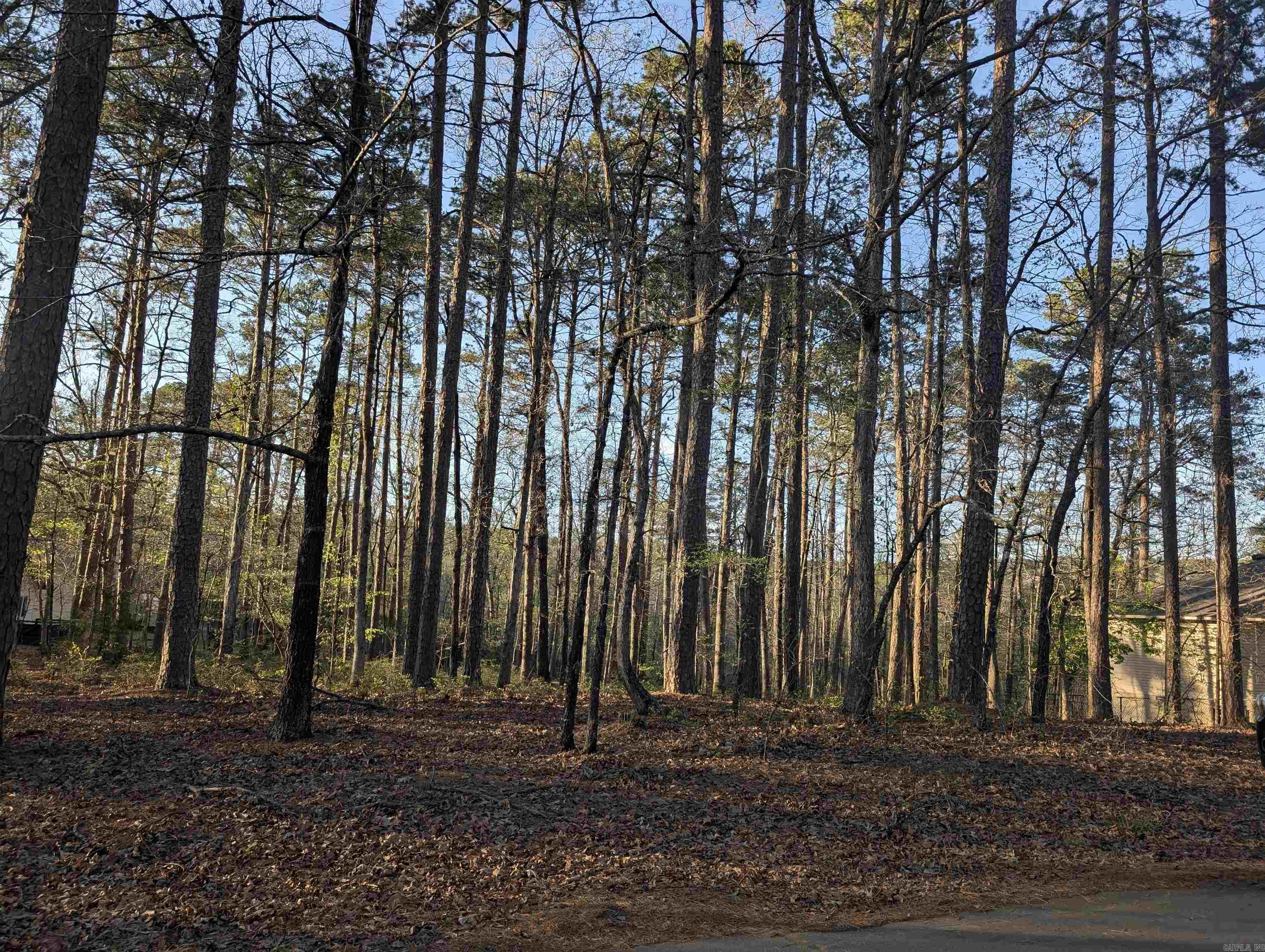 Discover the perfect canvas for your custom home in the heart of Hot Springs Village. Prime location on the west side of gated community. Featuring 11 lakes, 9 golf courses, 30 miles of walking trails. in stunning 26,000 acres of the Ouachita Mountains. There will be a $2000 fee for POA Buy In Fee