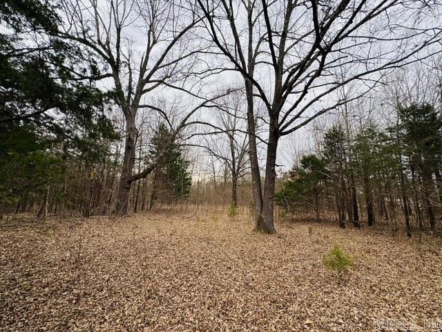 White River Timber Trails - Land